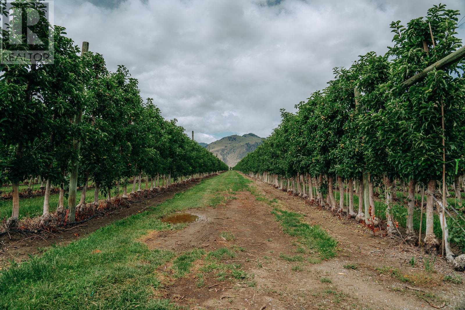 1731 Barcelo Road Property Photo 20