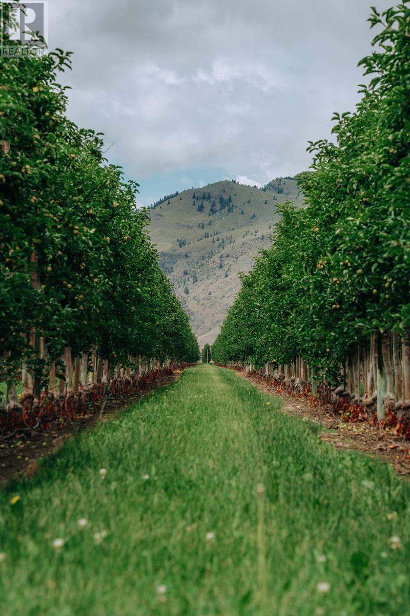 1731 Barcelo Road Property Photo 21