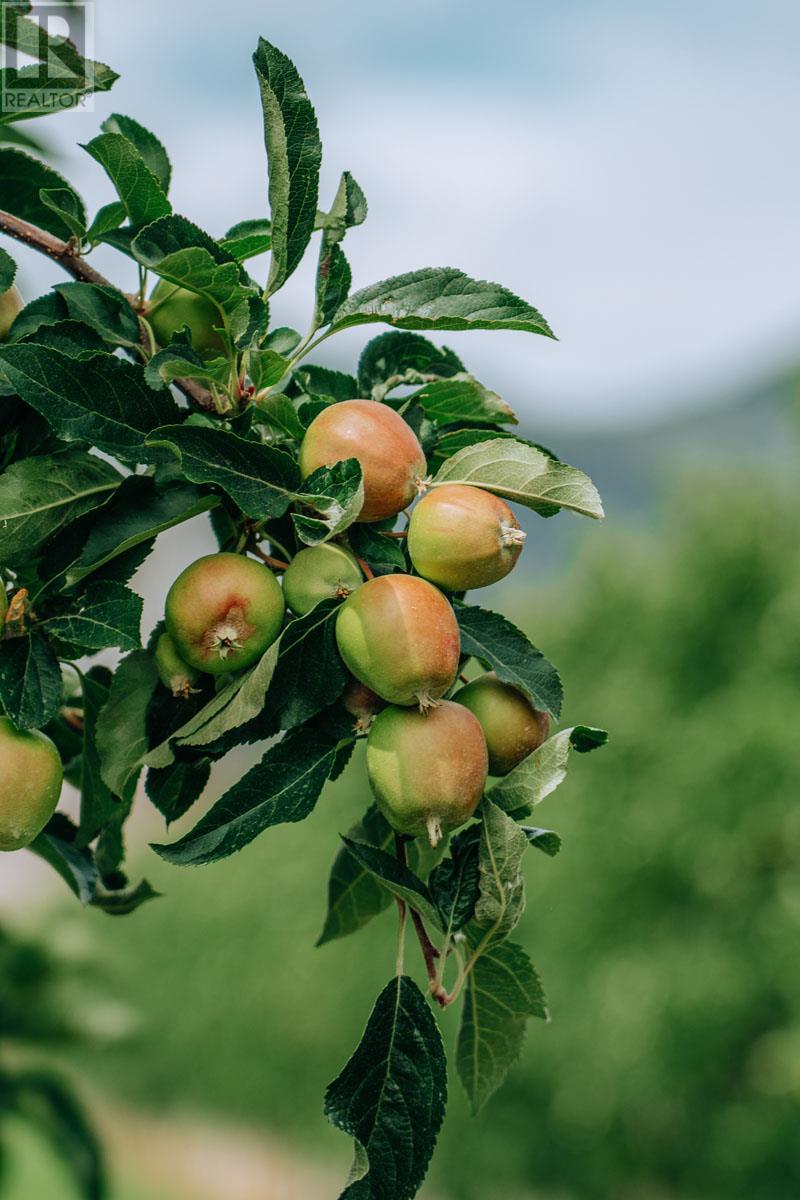 1731 Barcelo Road Property Photo 23