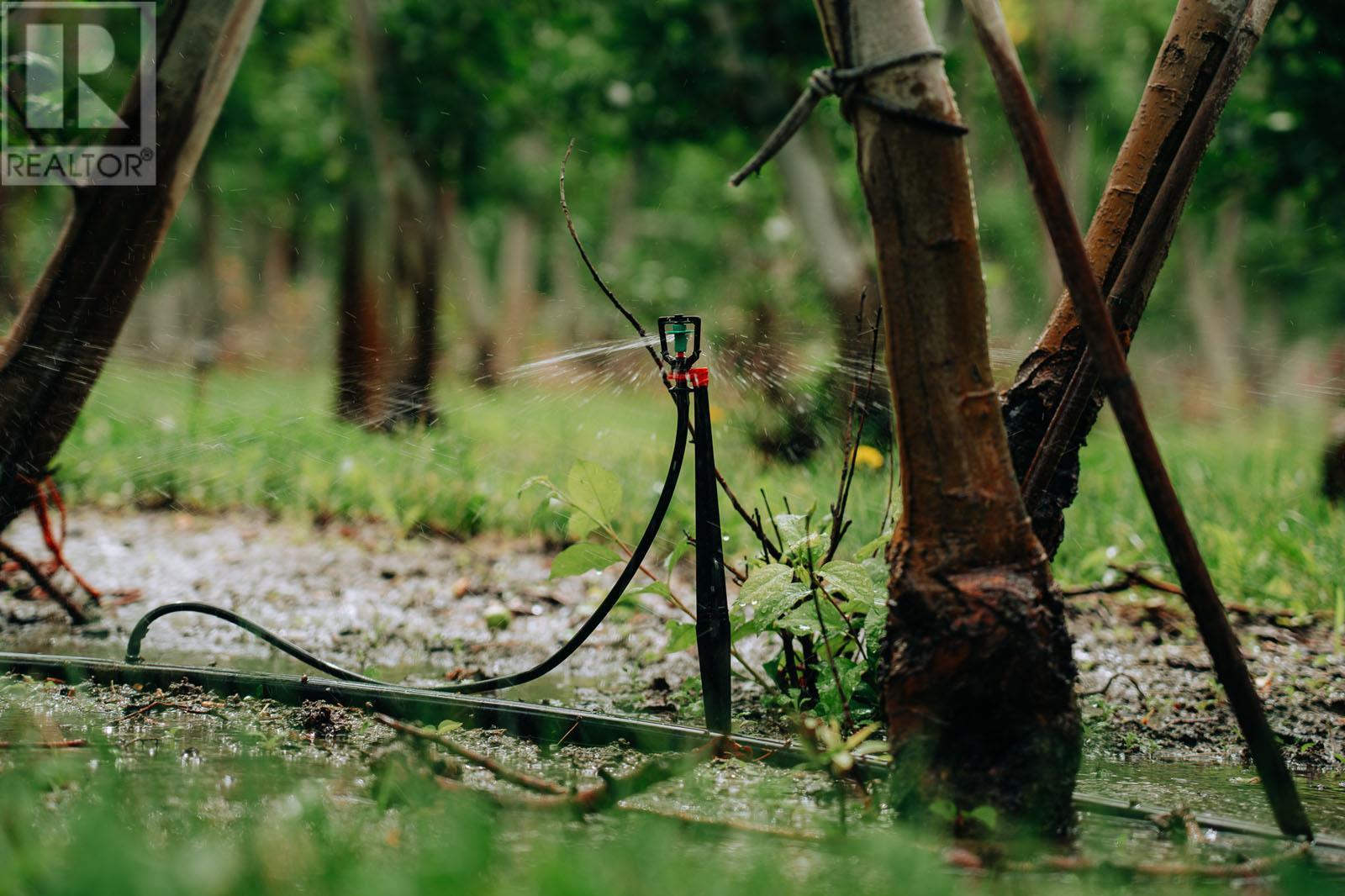 1731 Barcelo Road Property Photo 24