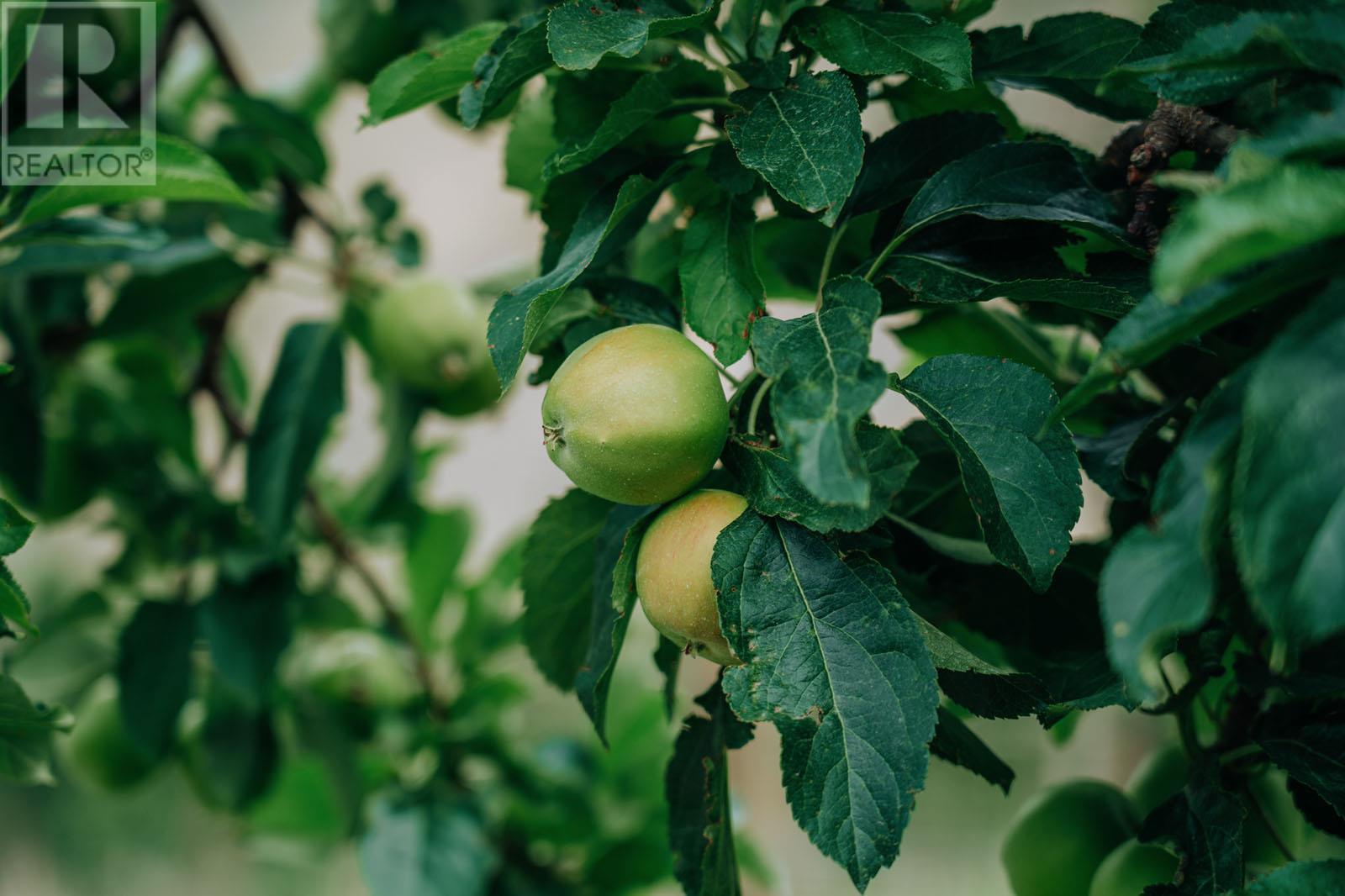 1731 Barcelo Road Property Photo 26