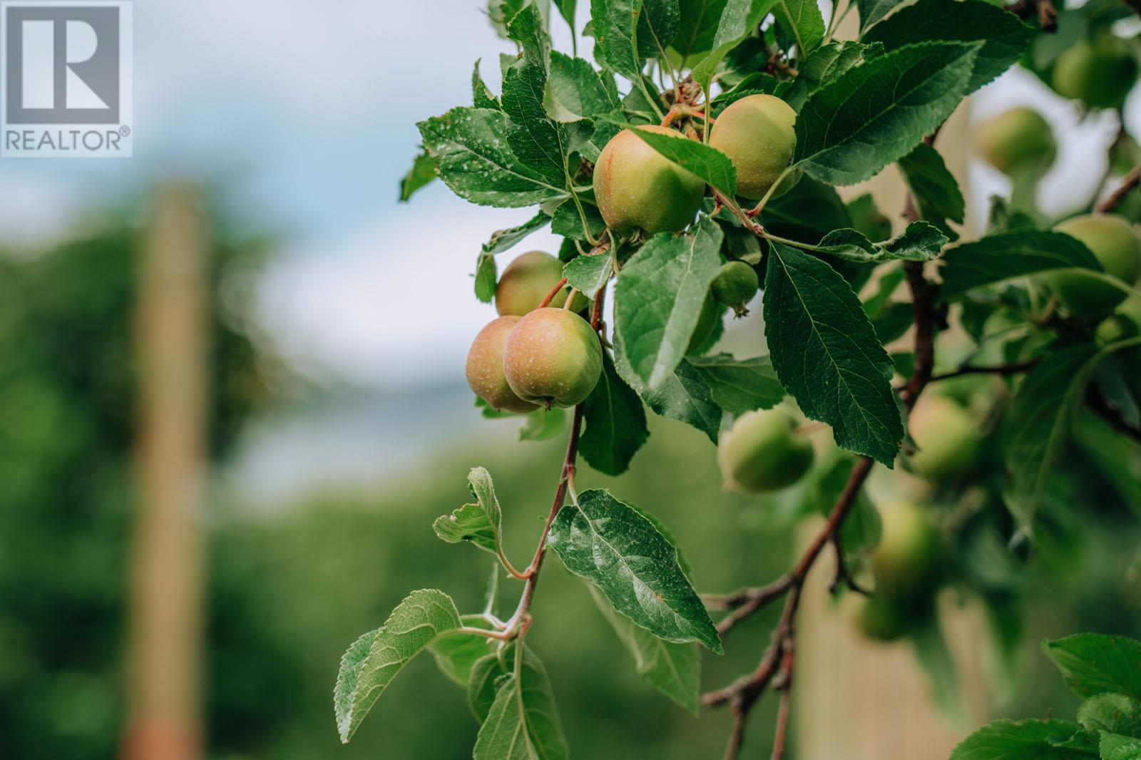 1731 Barcelo Road Property Photo 27