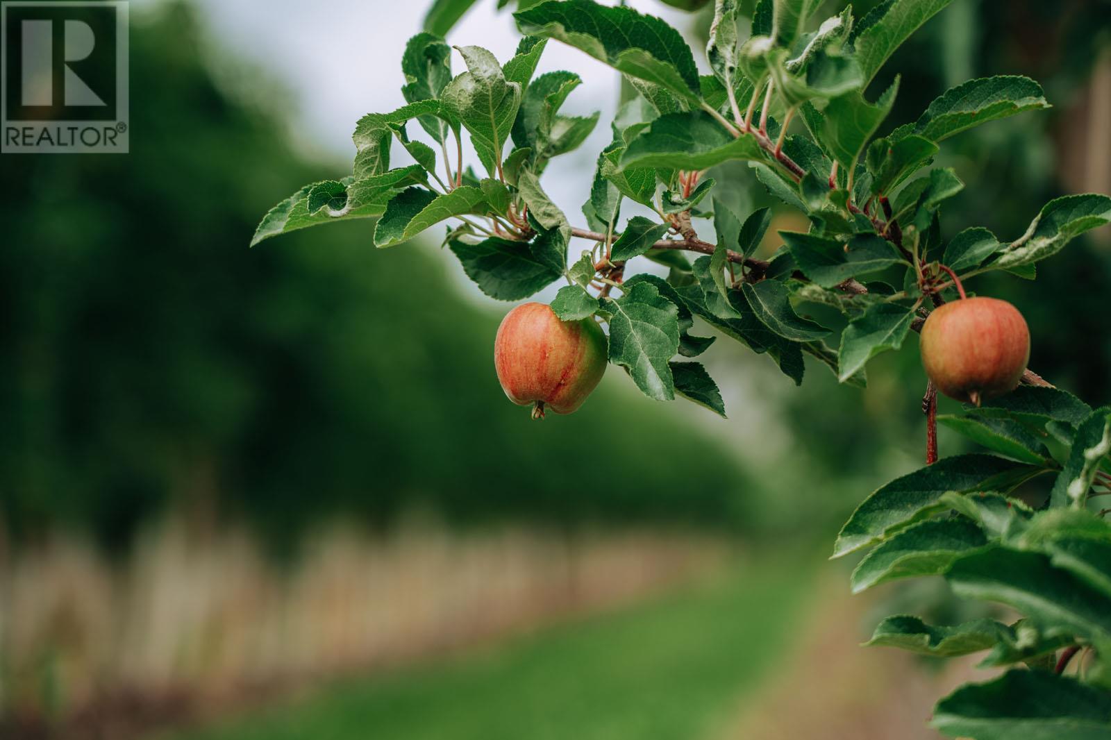 1731 Barcelo Road Property Photo 28