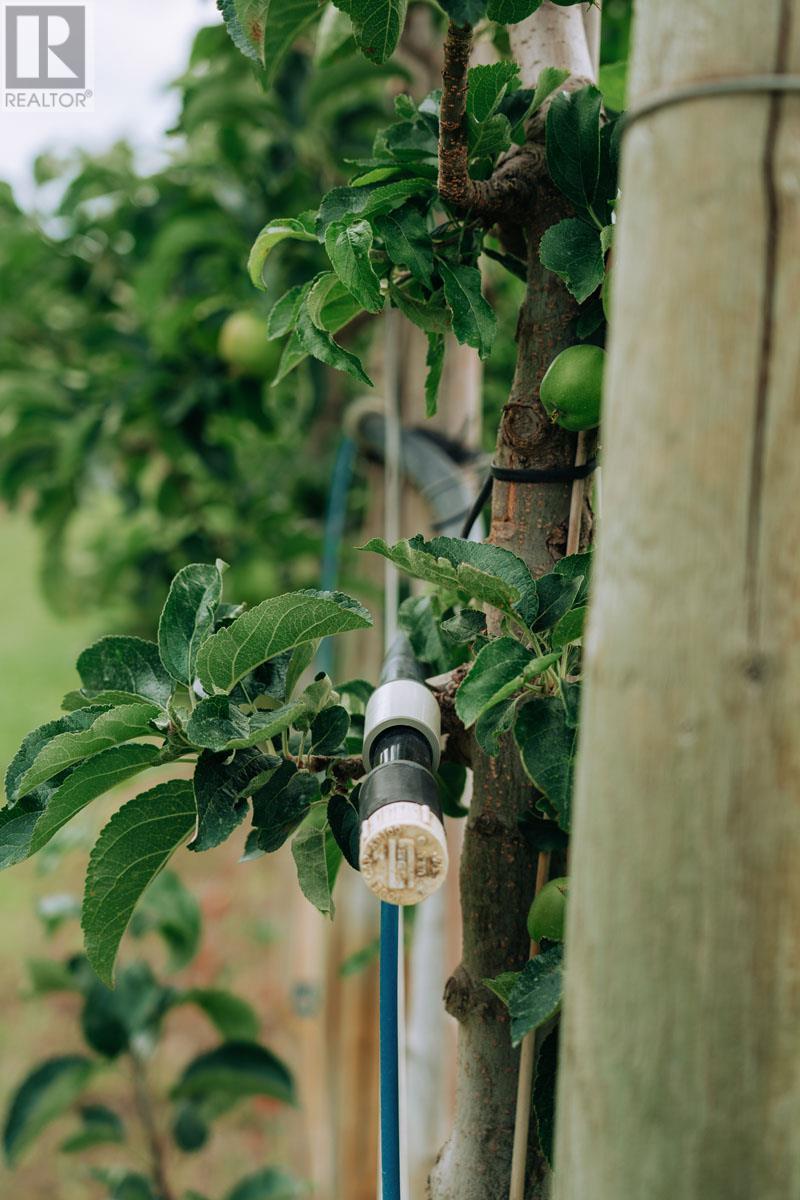 1731 Barcelo Road Property Photo 29