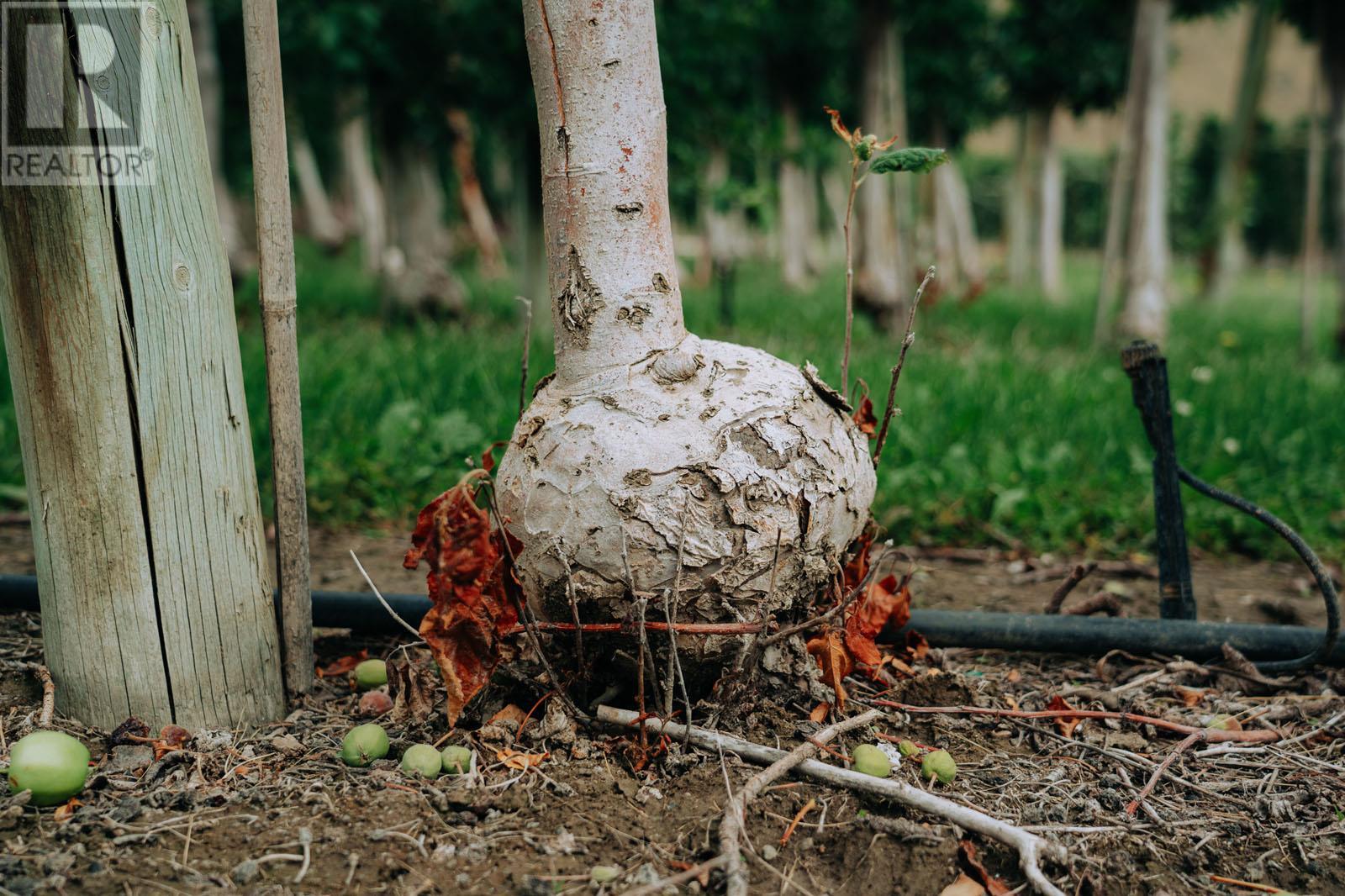 1731 Barcelo Road Property Photo 31