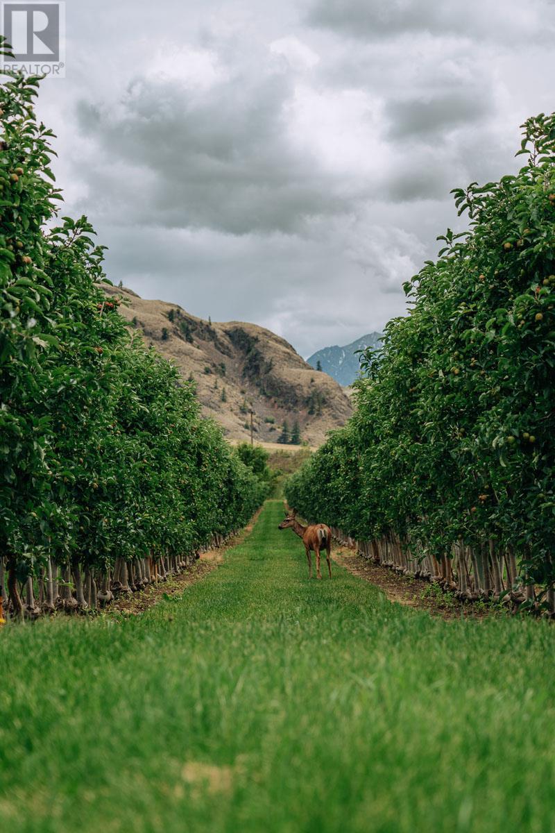 1731 Barcelo Road Property Photo 33