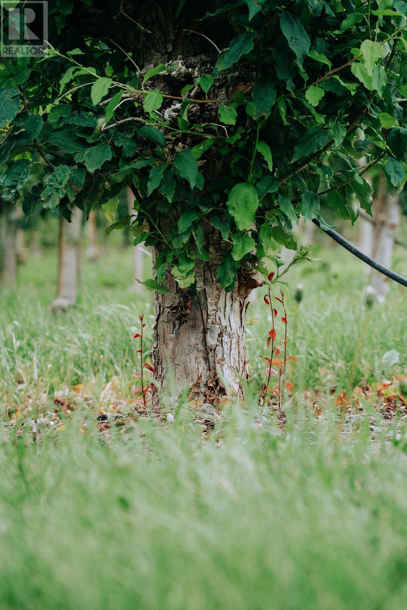 1731 Barcelo Road Property Photo 34