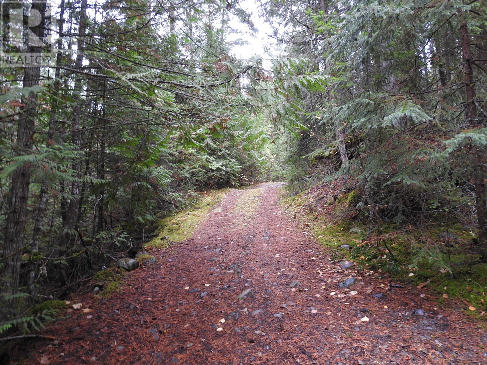144 Acres South Fork Road Property Photo