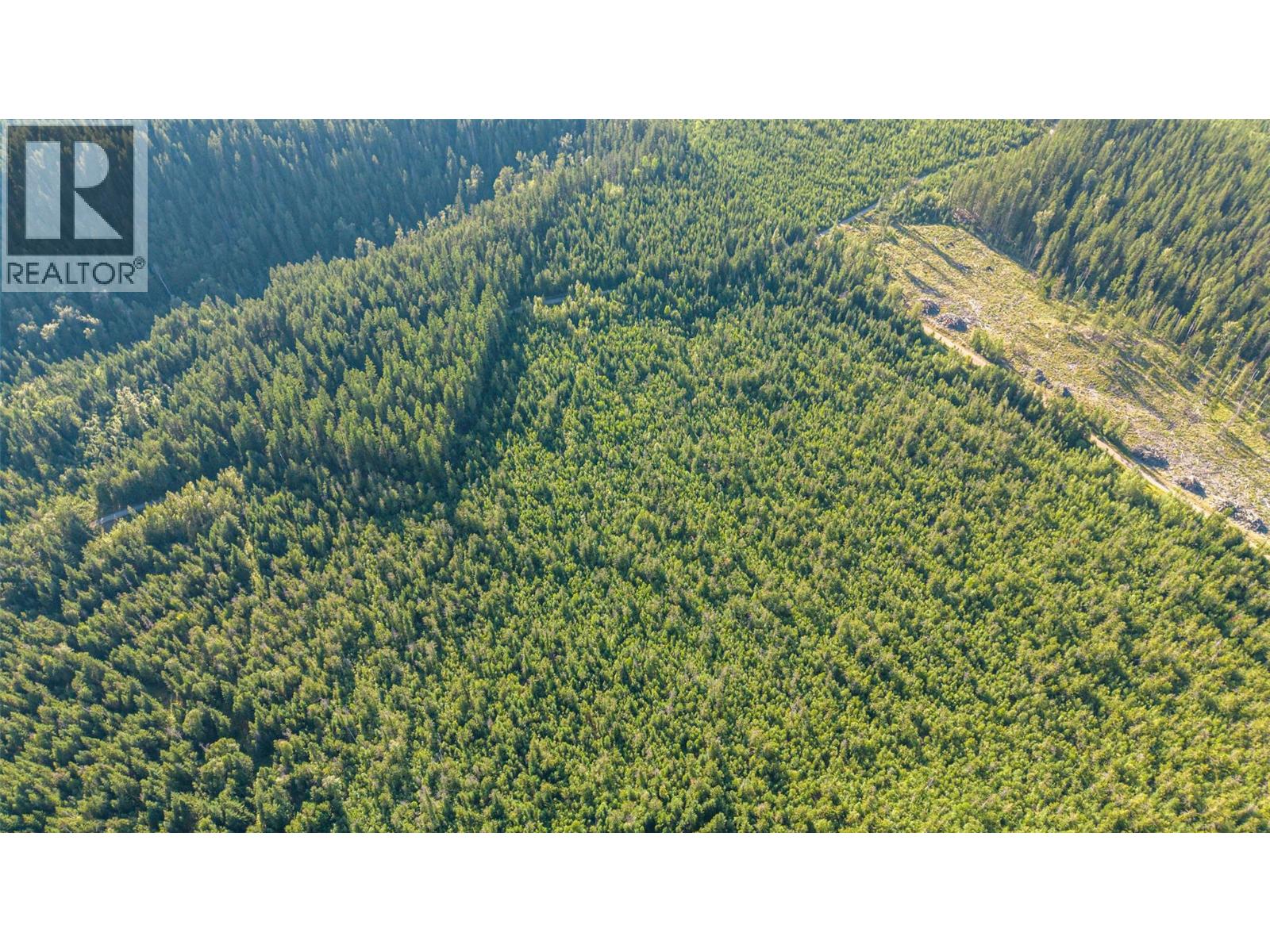144 Acres South Fork Road Property Photo 3