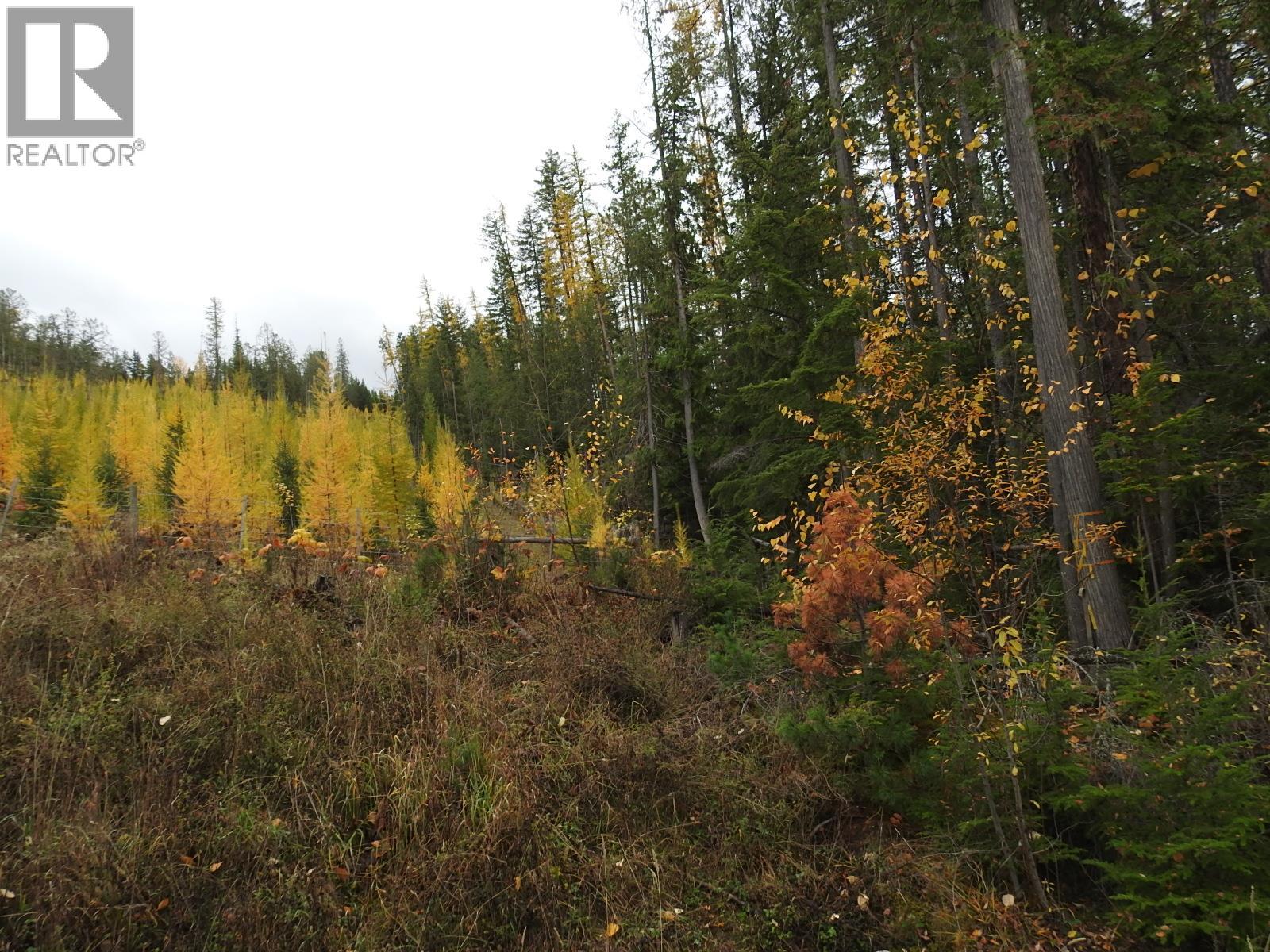 144 Acres South Fork Road Property Photo 6