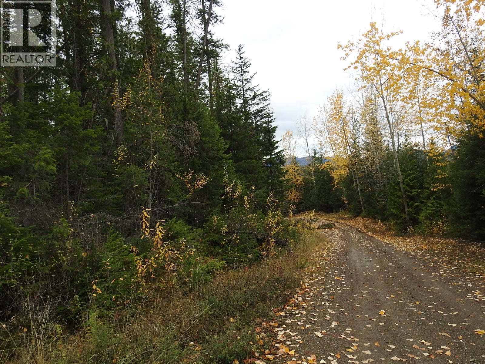 144 Acres South Fork Road Property Photo 7