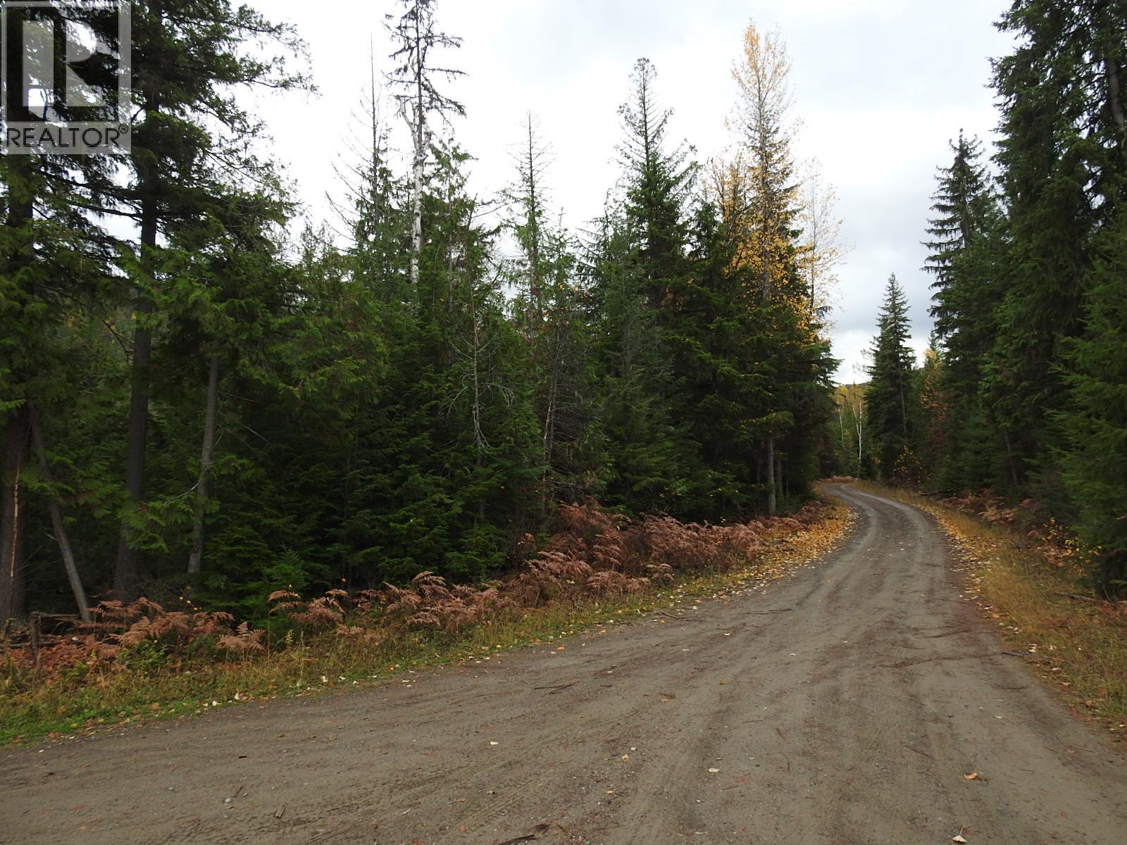 144 Acres South Fork Road Property Photo 9