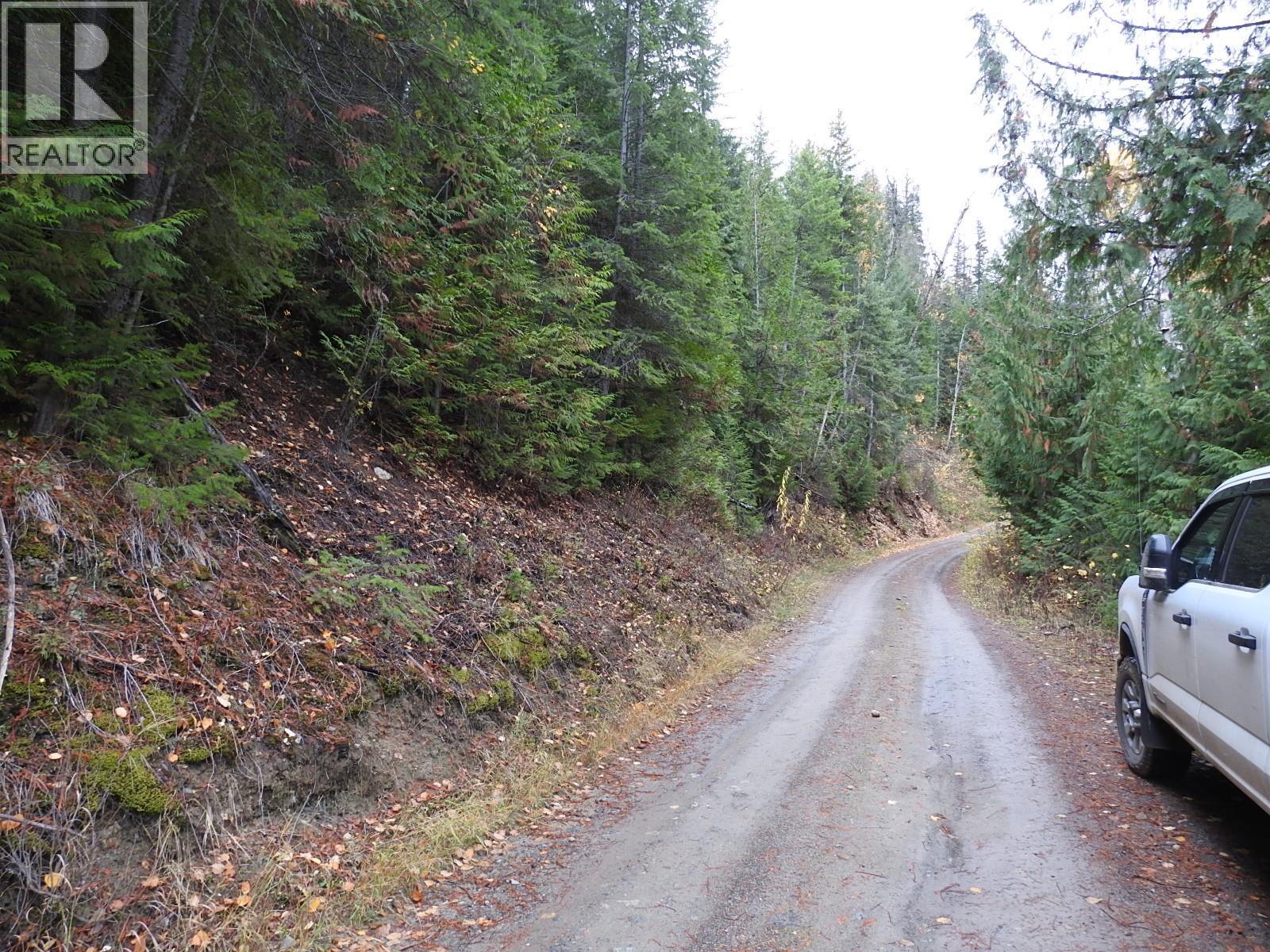 144 Acres South Fork Road Property Photo 10