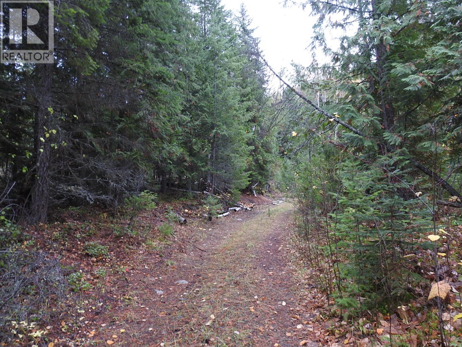 144 Acres South Fork Road Property Photo 11