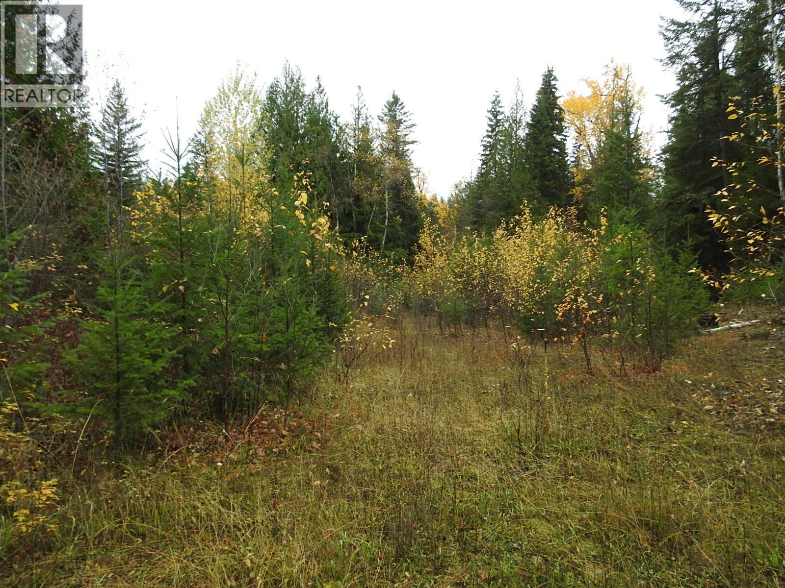 144 Acres South Fork Road Property Photo 12