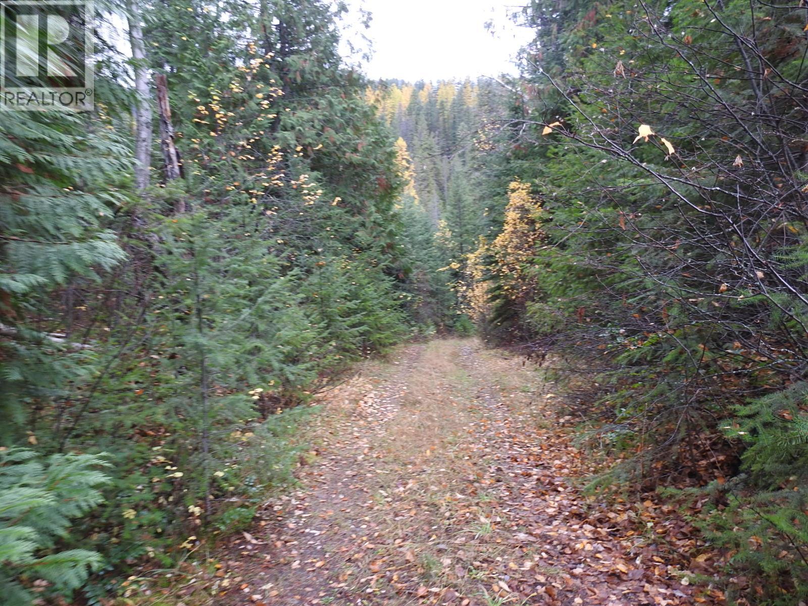 144 Acres South Fork Road Property Photo 13