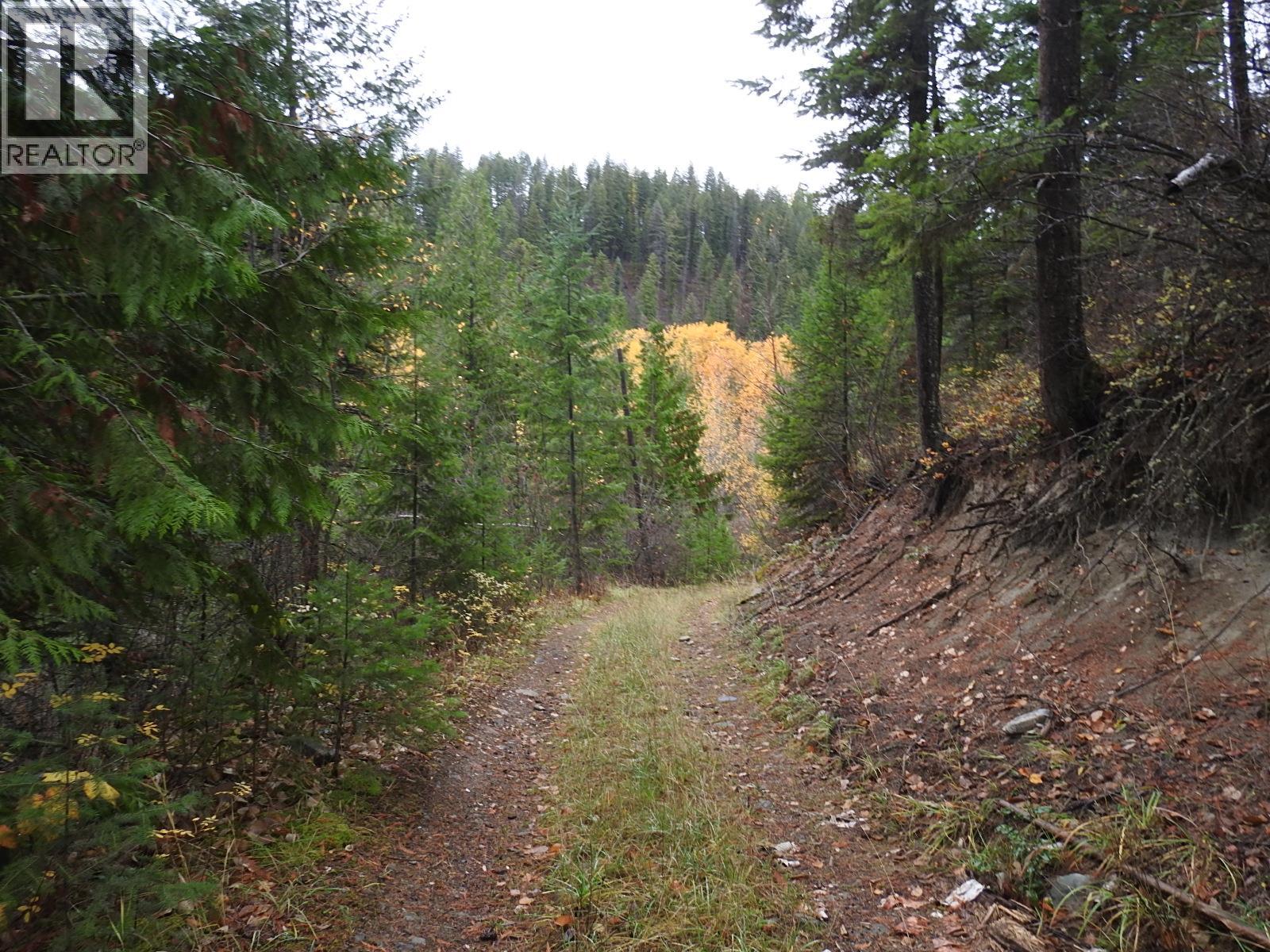 144 Acres South Fork Road Property Photo 14
