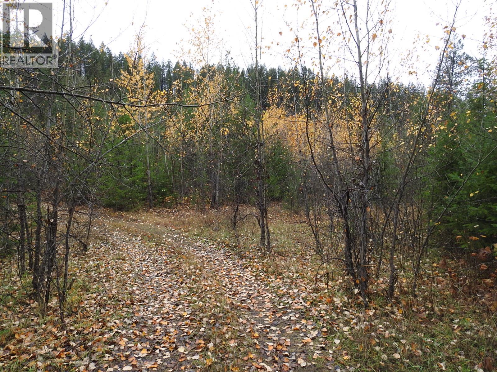 144 Acres South Fork Road Property Photo 15