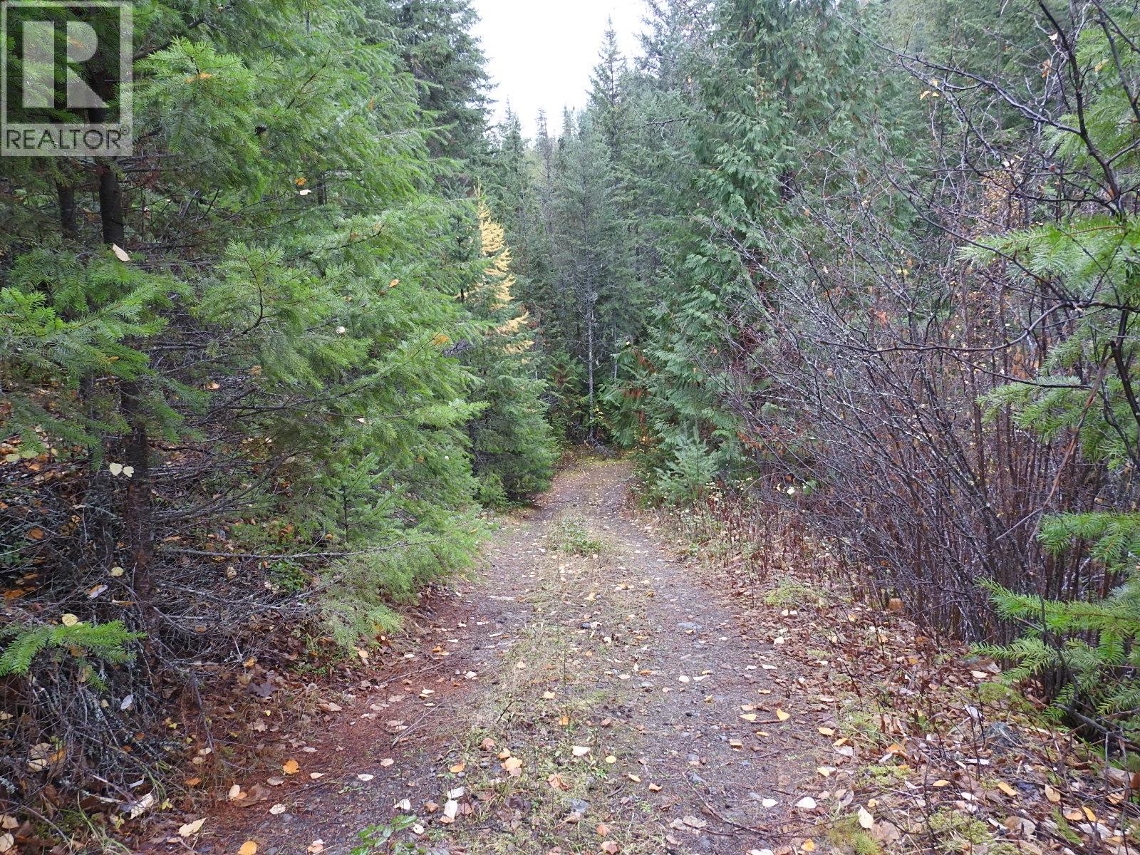 144 Acres South Fork Road Property Photo 16