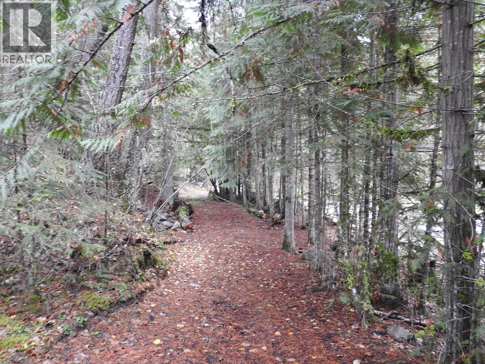 144 Acres South Fork Road Property Photo 17