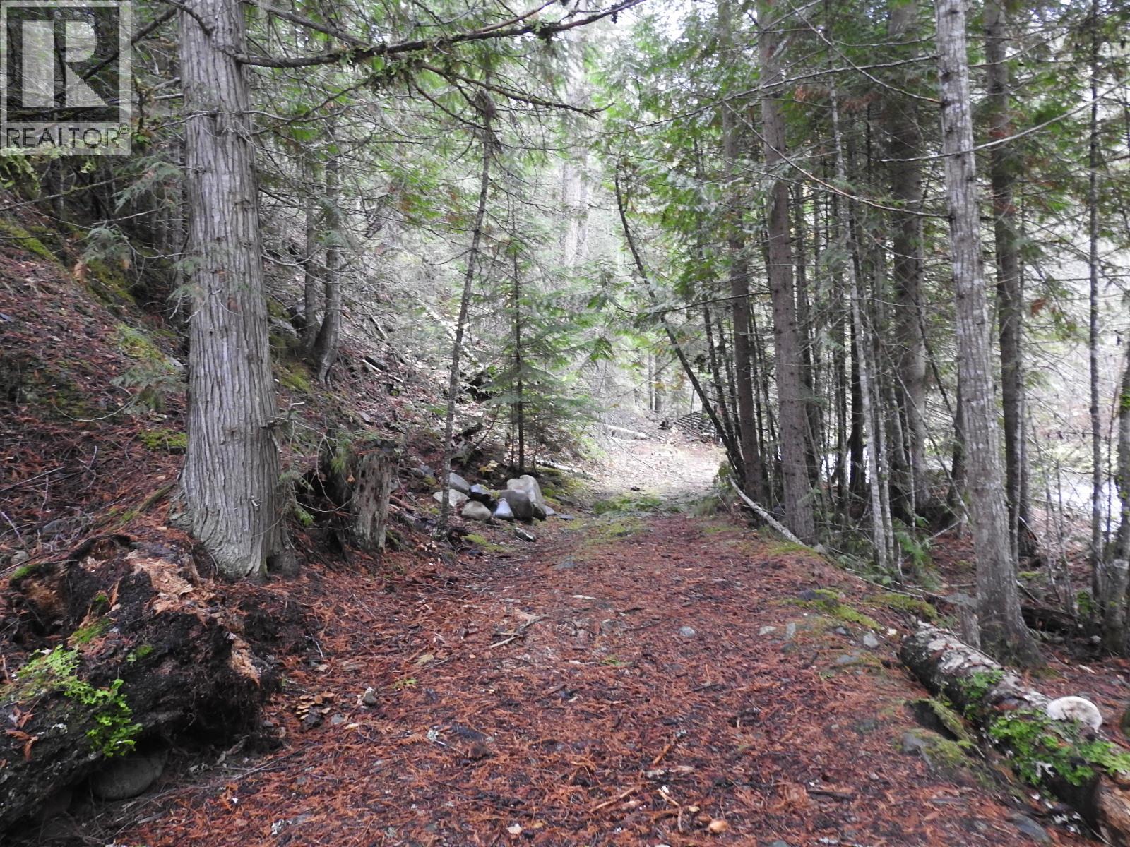 144 Acres South Fork Road Property Photo 18