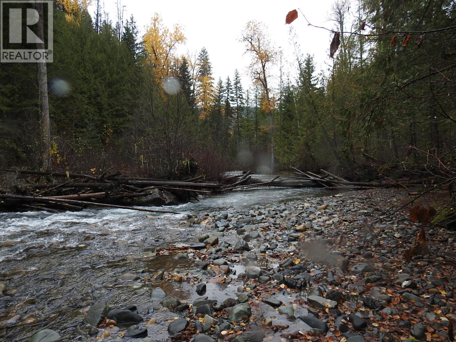 144 Acres South Fork Road Property Photo 19