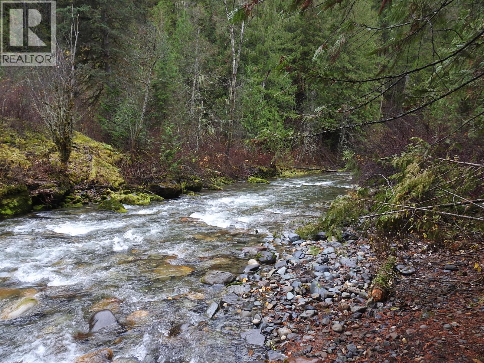 144 Acres South Fork Road Property Photo 21