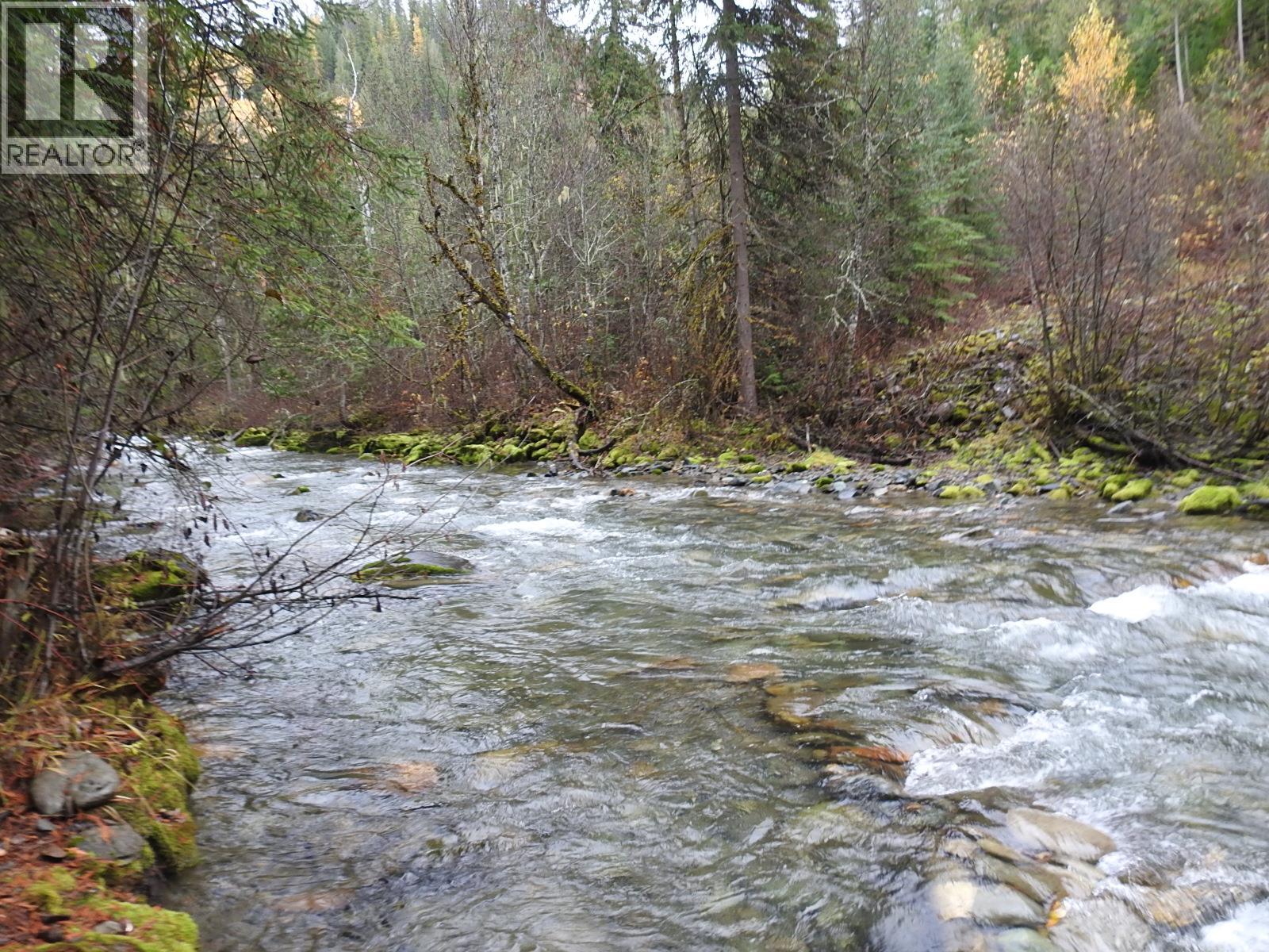 144 Acres South Fork Road Property Photo 22