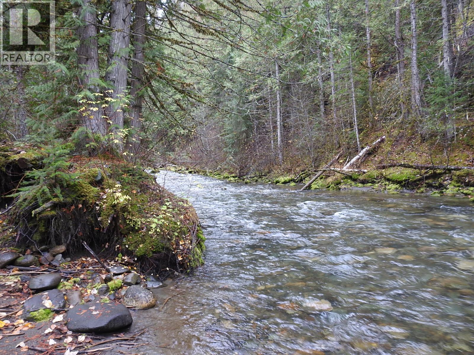 144 Acres South Fork Road Property Photo 23