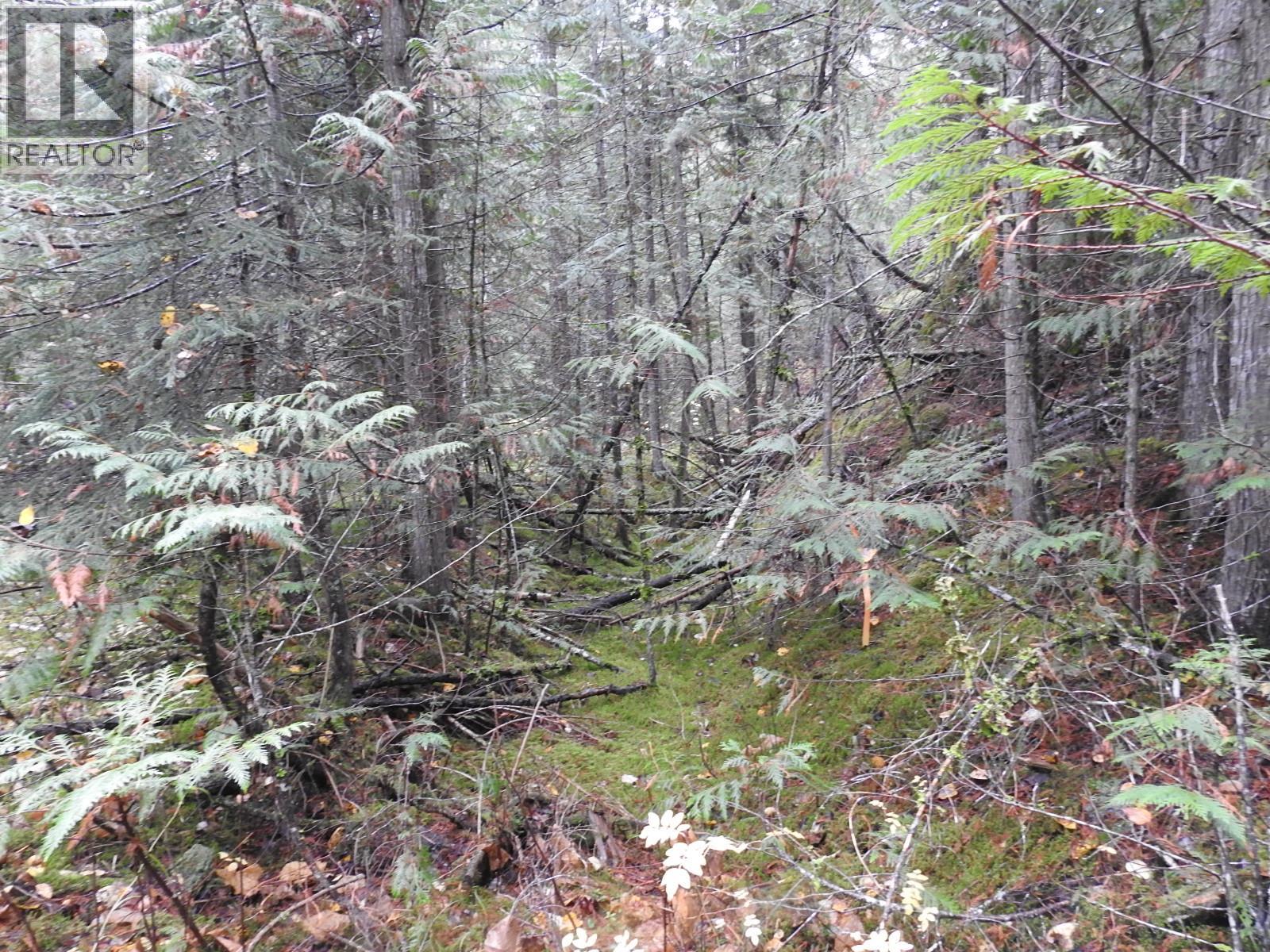 144 Acres South Fork Road Property Photo 26