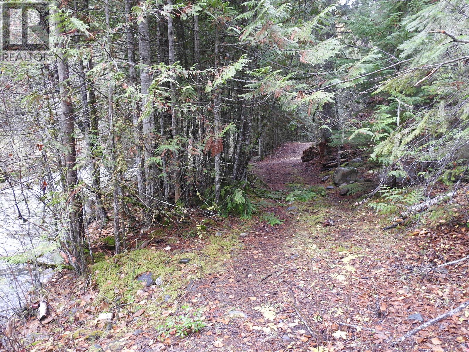 144 Acres South Fork Road Property Photo 27