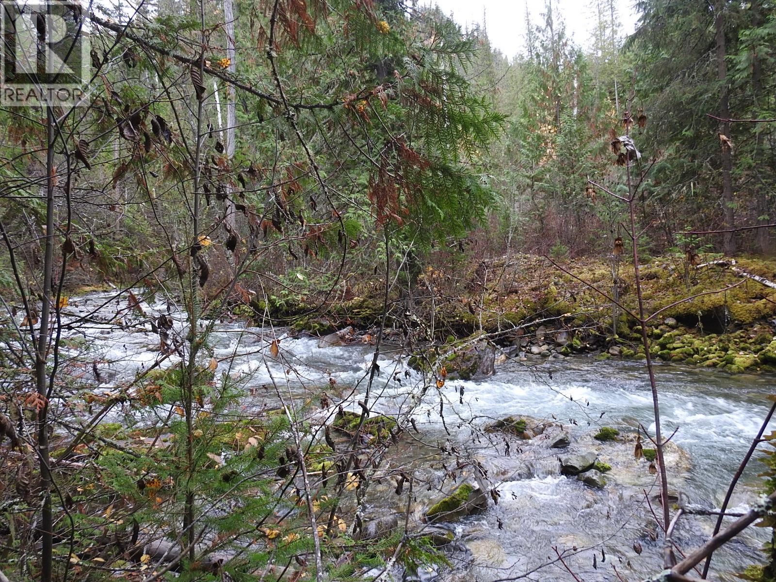 144 Acres South Fork Road Property Photo 28