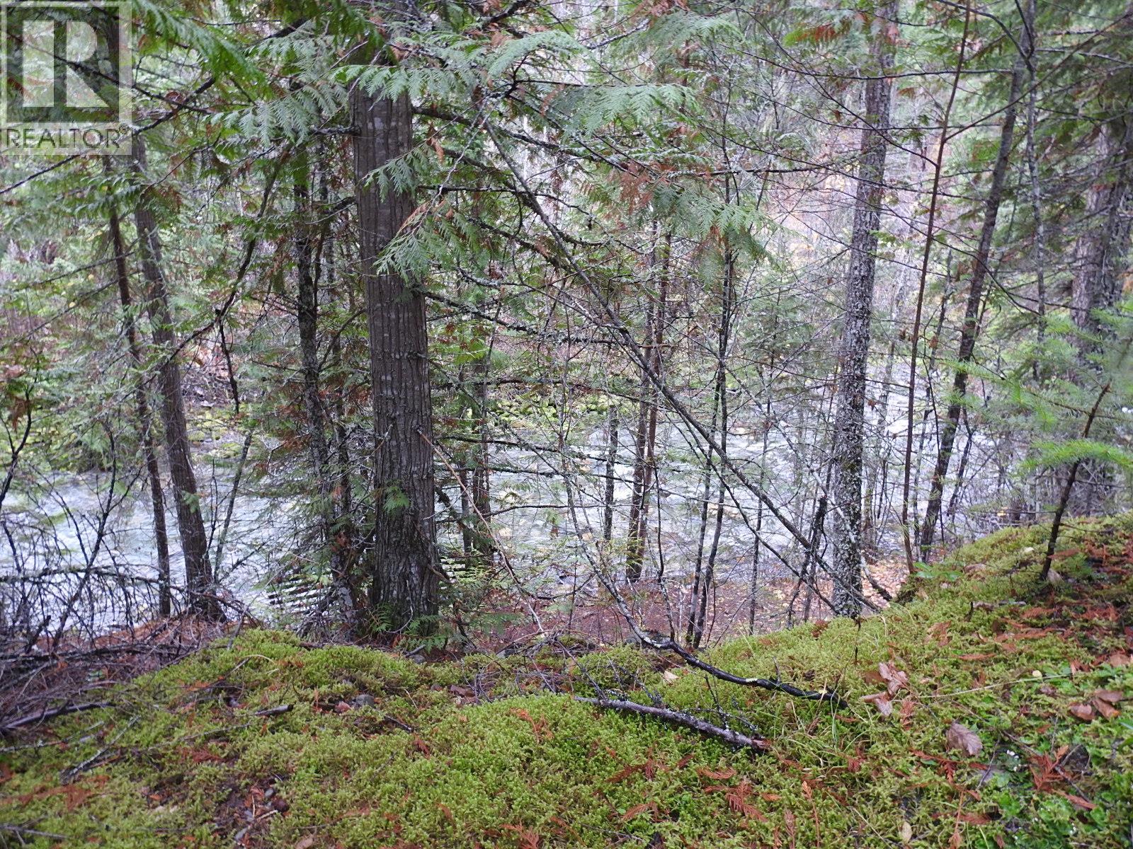 144 Acres South Fork Road Property Photo 29