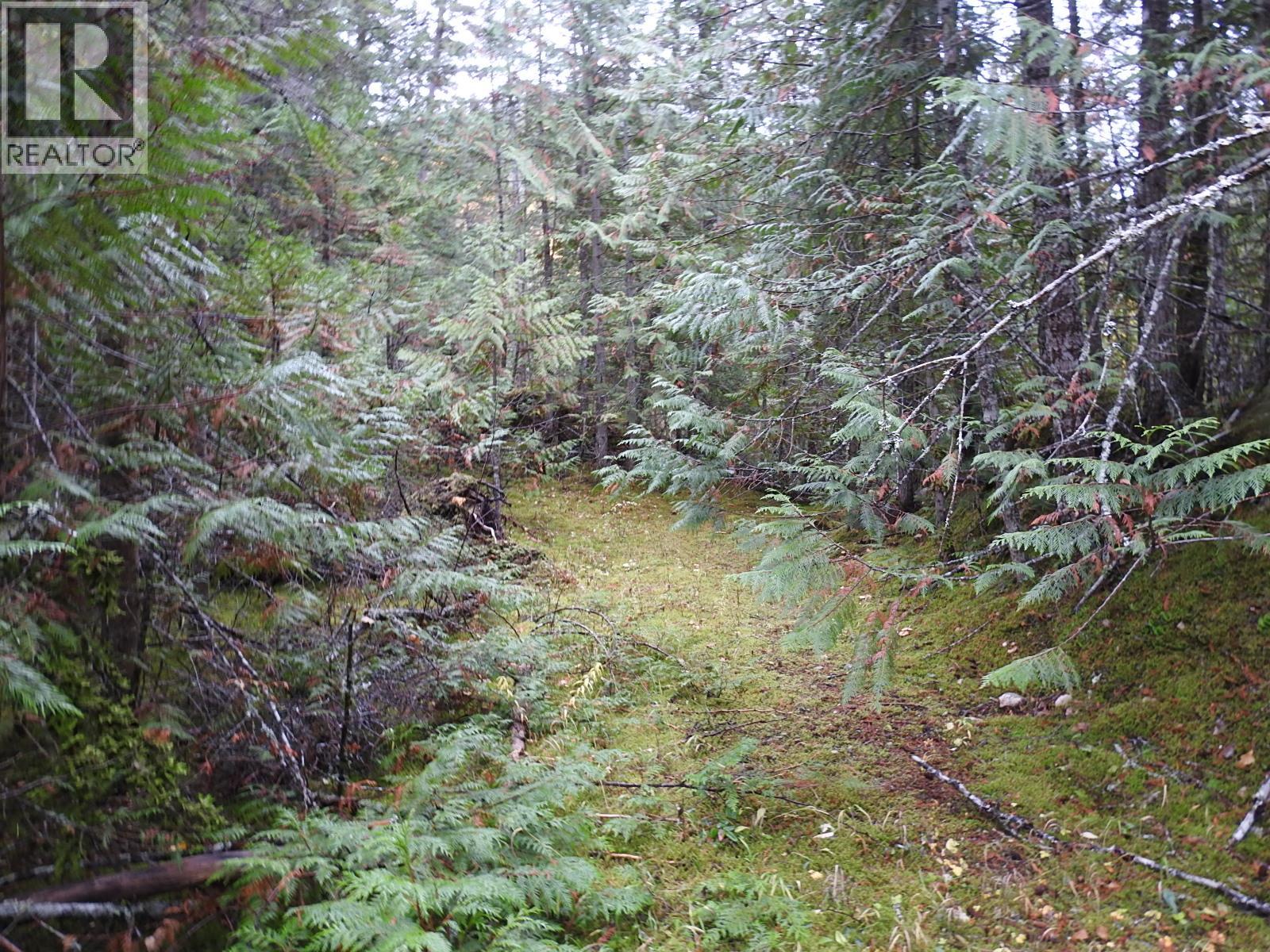 144 Acres South Fork Road Property Photo 30