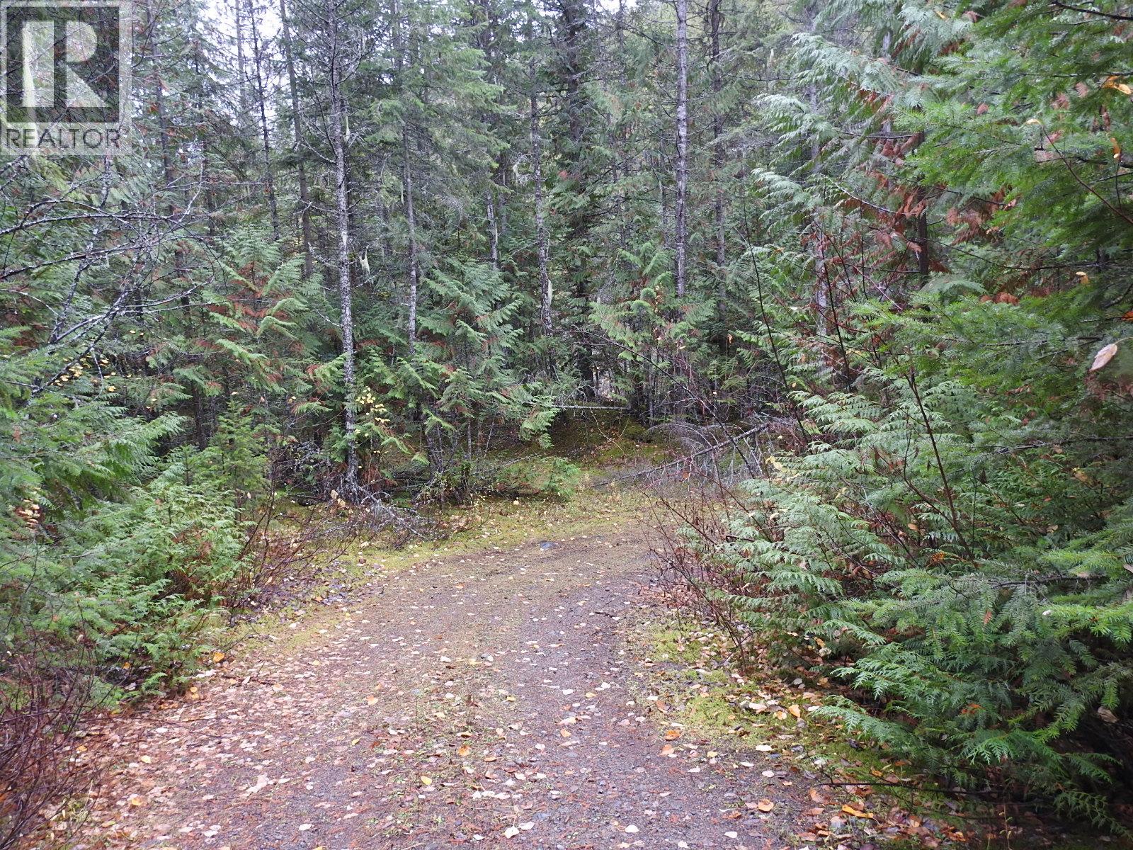 144 Acres South Fork Road Property Photo 31