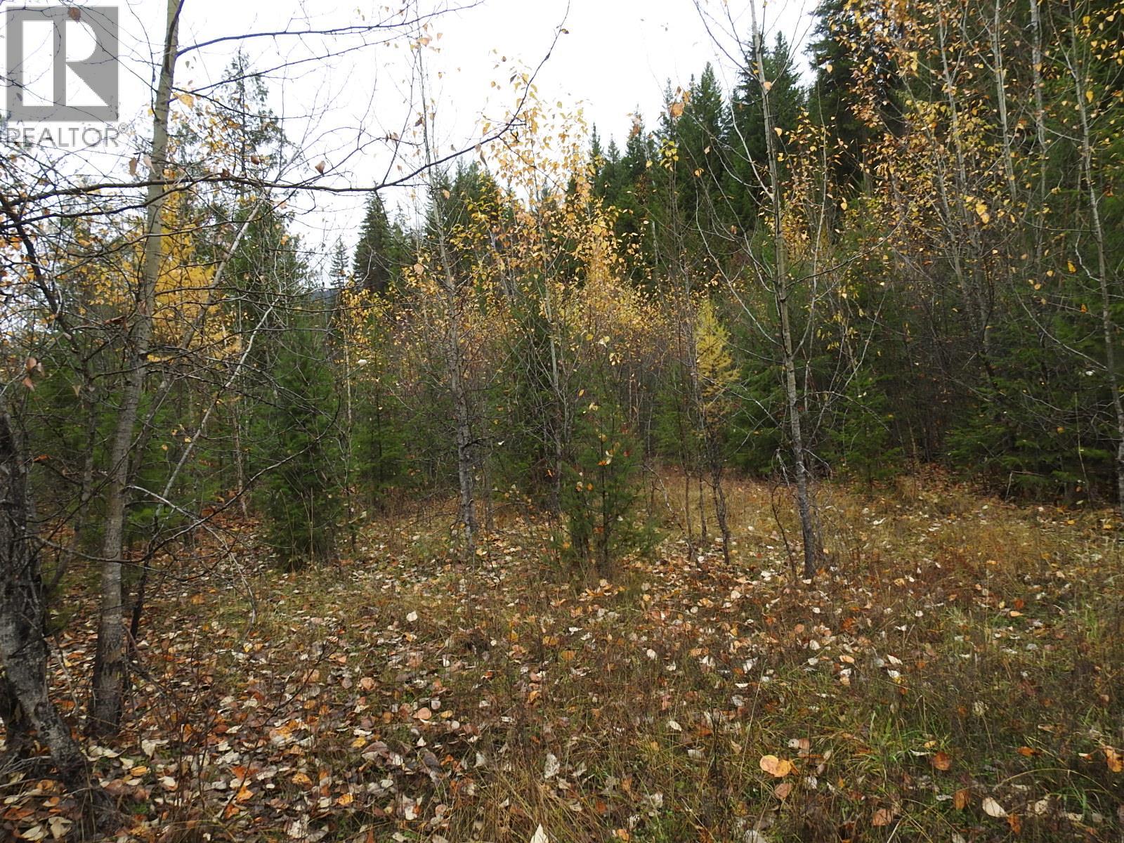 144 Acres South Fork Road Property Photo 32