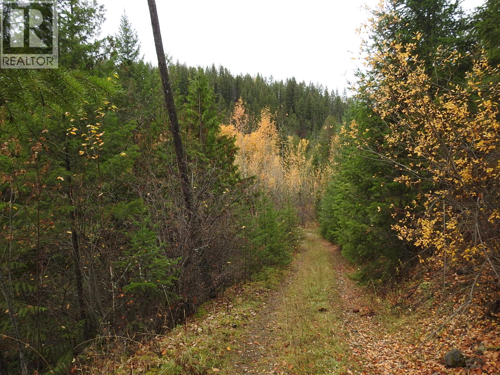 144 Acres South Fork Road Property Photo 33