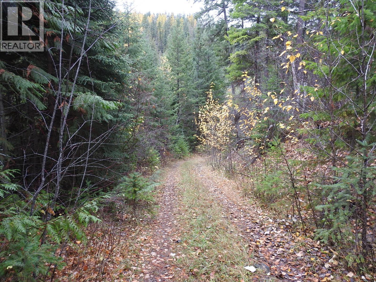 144 Acres South Fork Road Property Photo 34