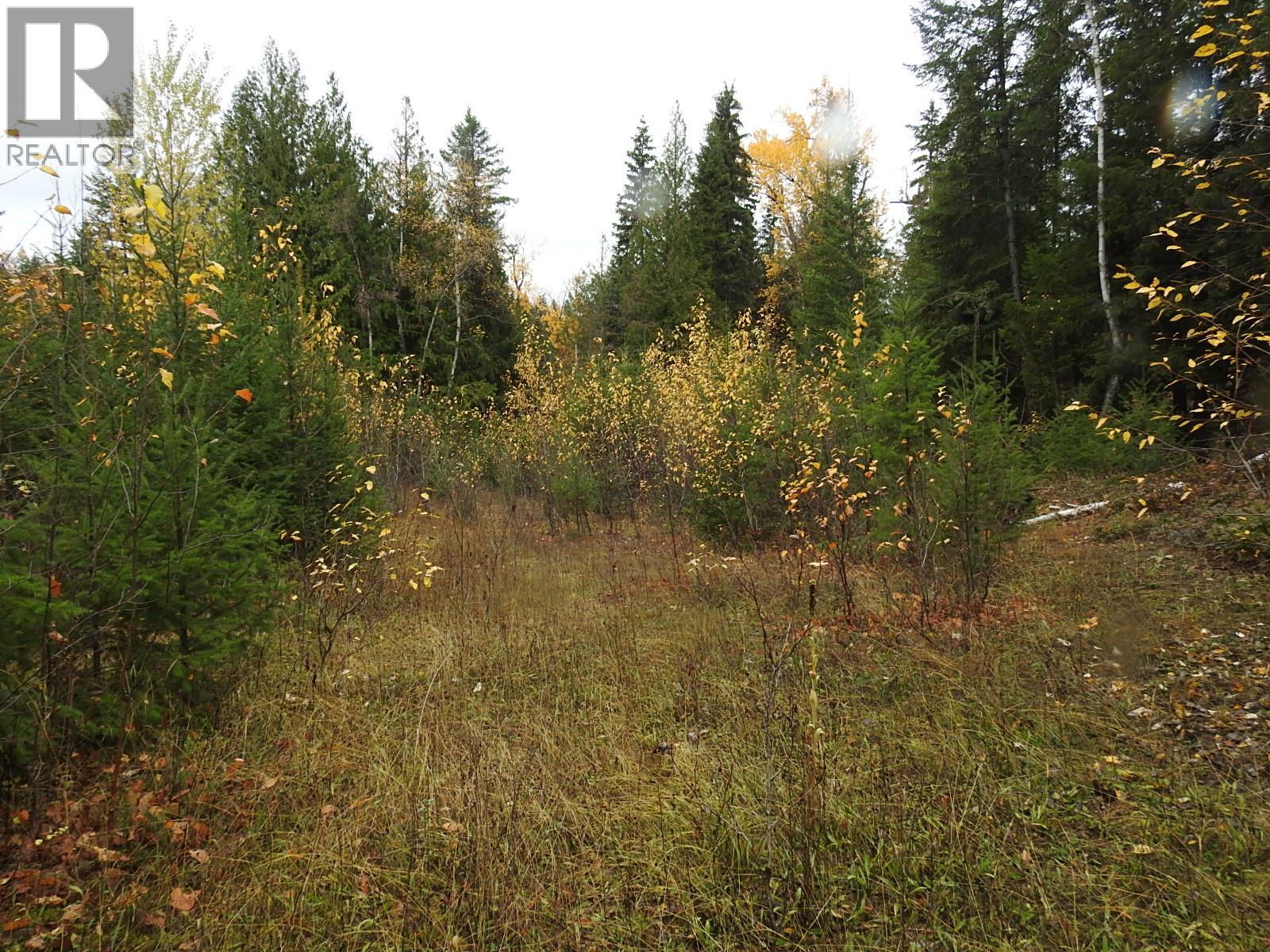 144 Acres South Fork Road Property Photo 35