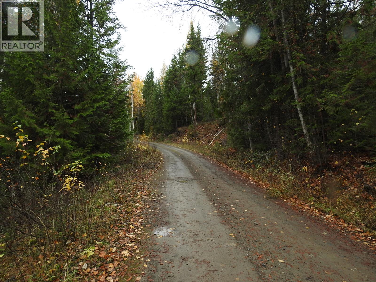 144 Acres South Fork Road Property Photo 37