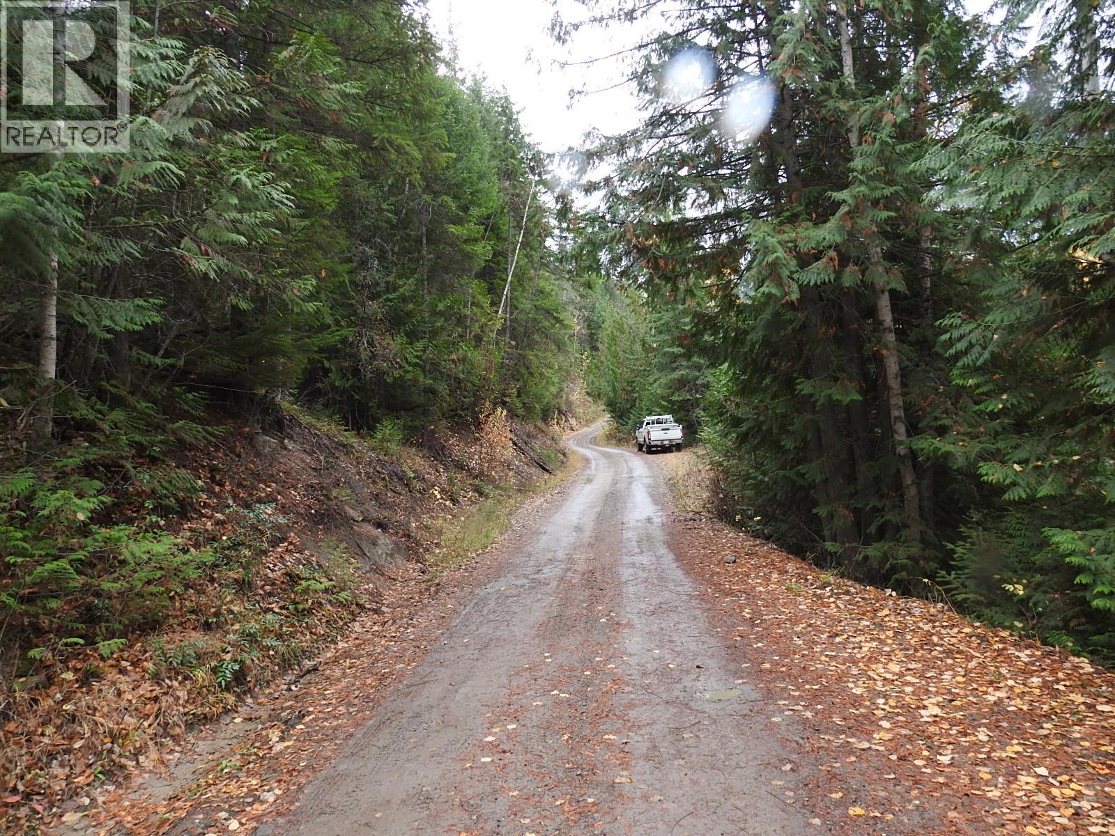144 Acres South Fork Road Property Photo 38