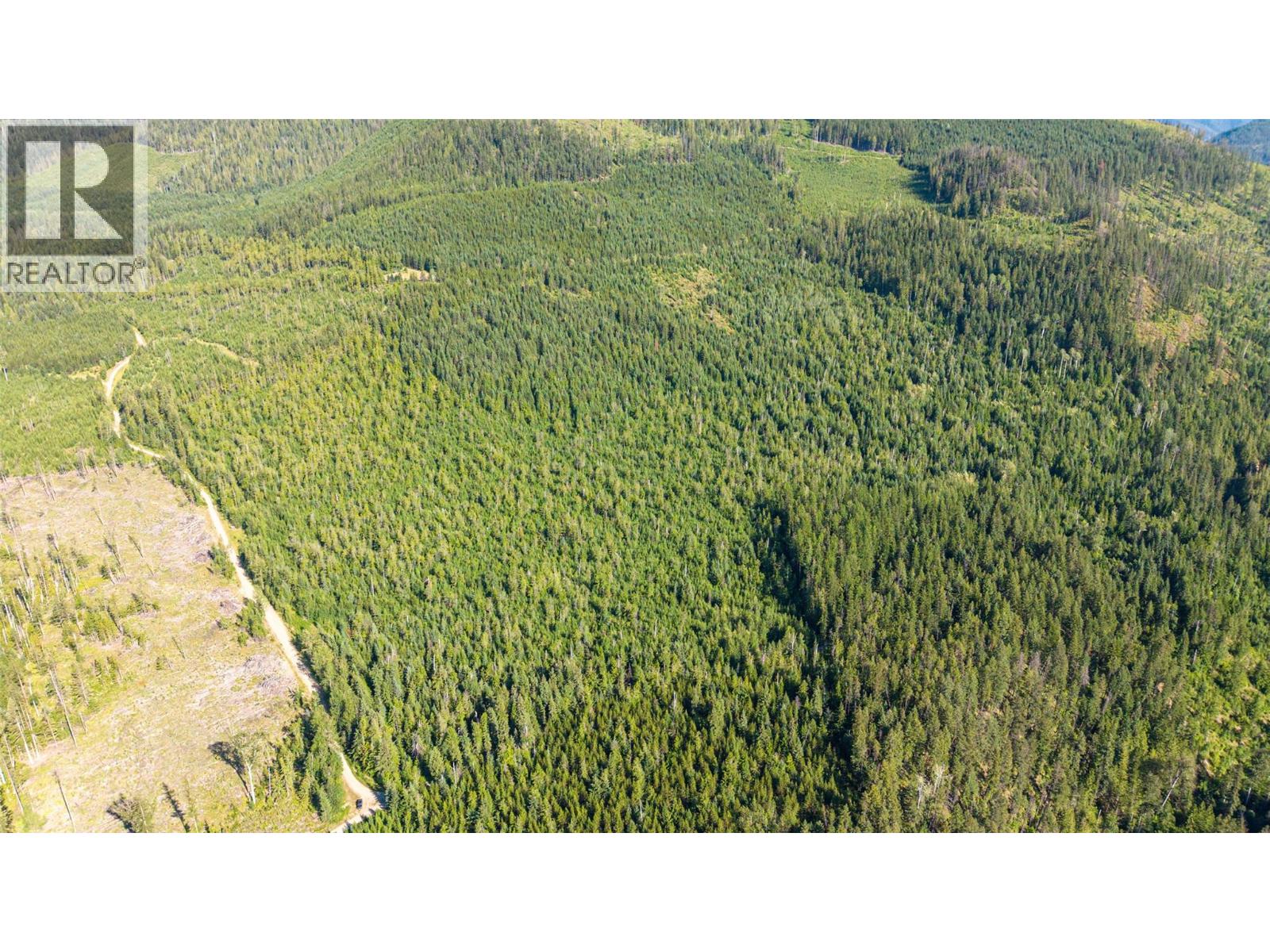 144 Acres South Fork Road Property Photo 43