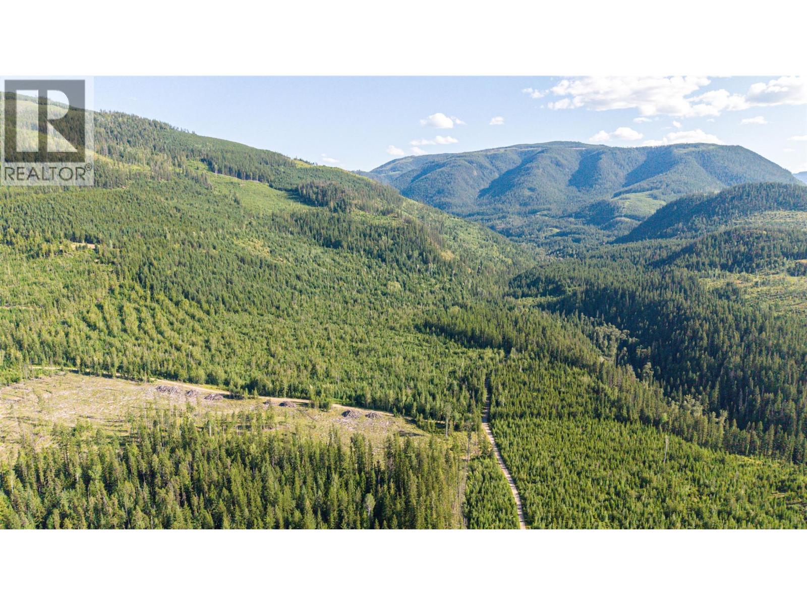 144 Acres South Fork Road Property Photo 44