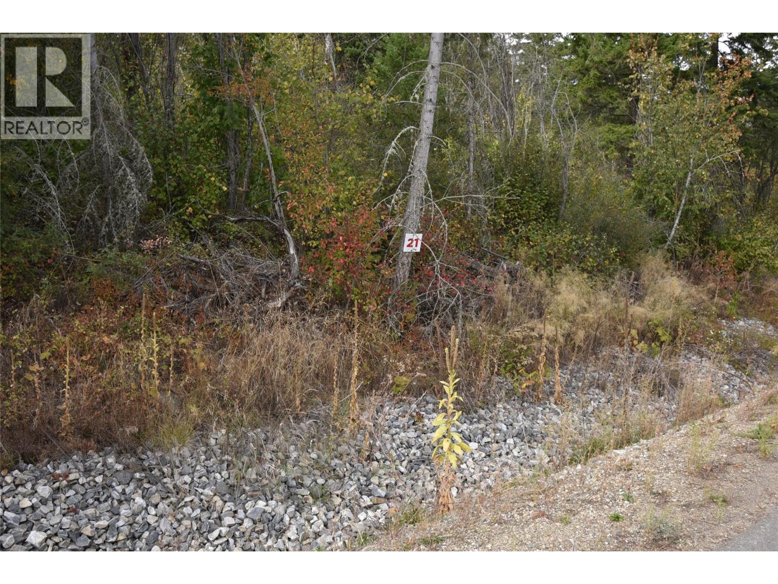 222 Crooked Pine Road Property Photo 1