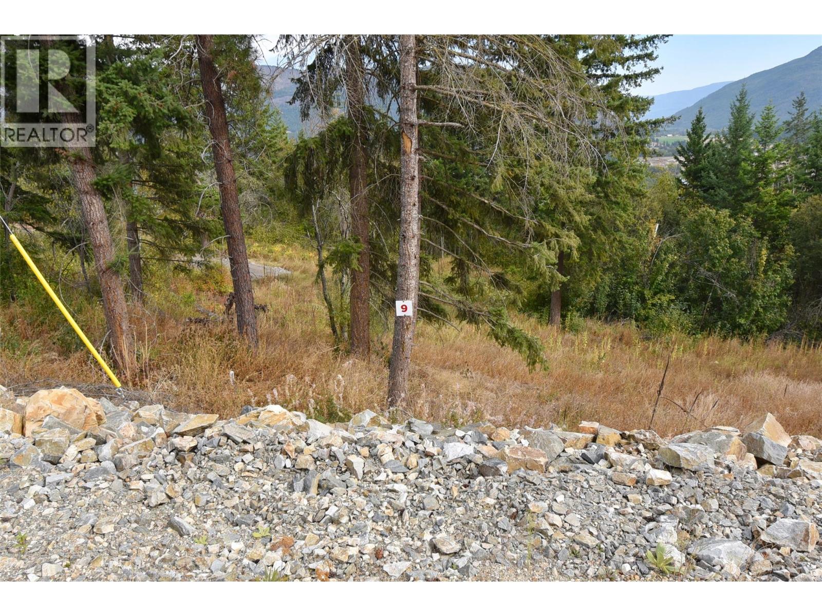 201 Crooked Pine Road Property Photo 1