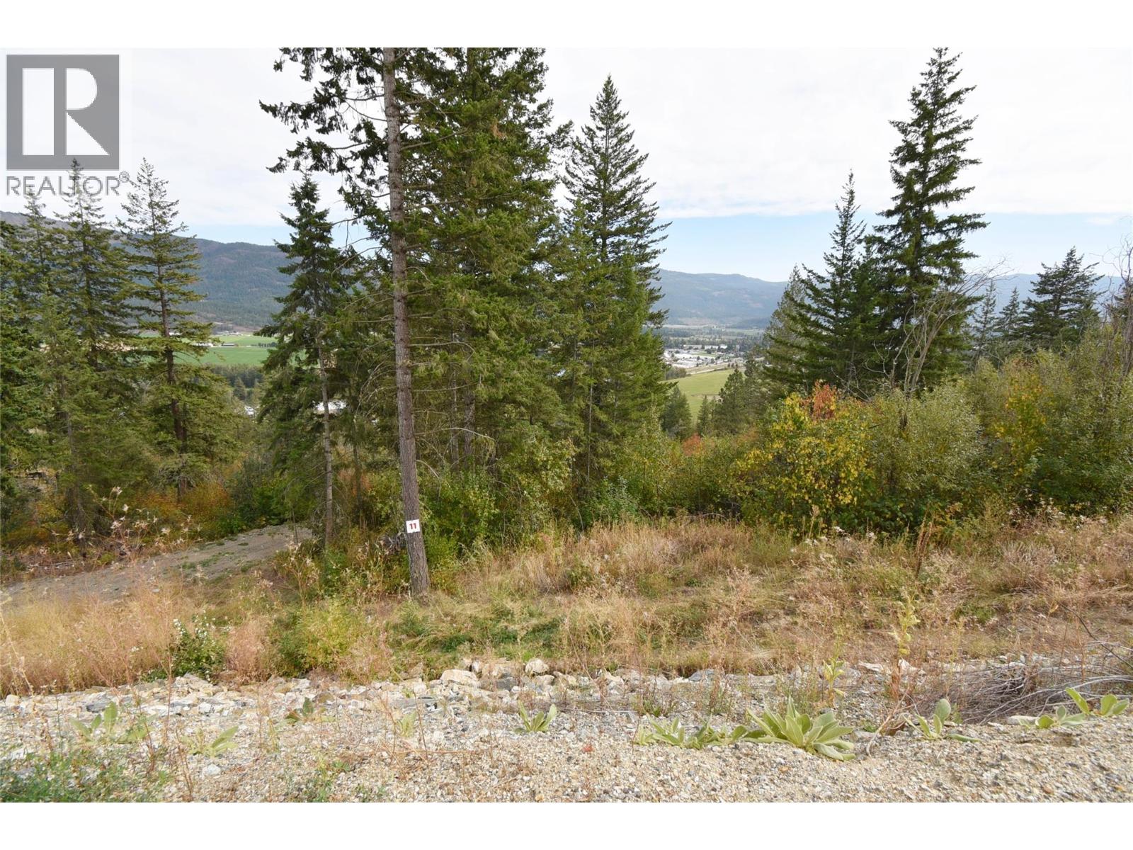 213 Crooked Pine Road Property Photo 3