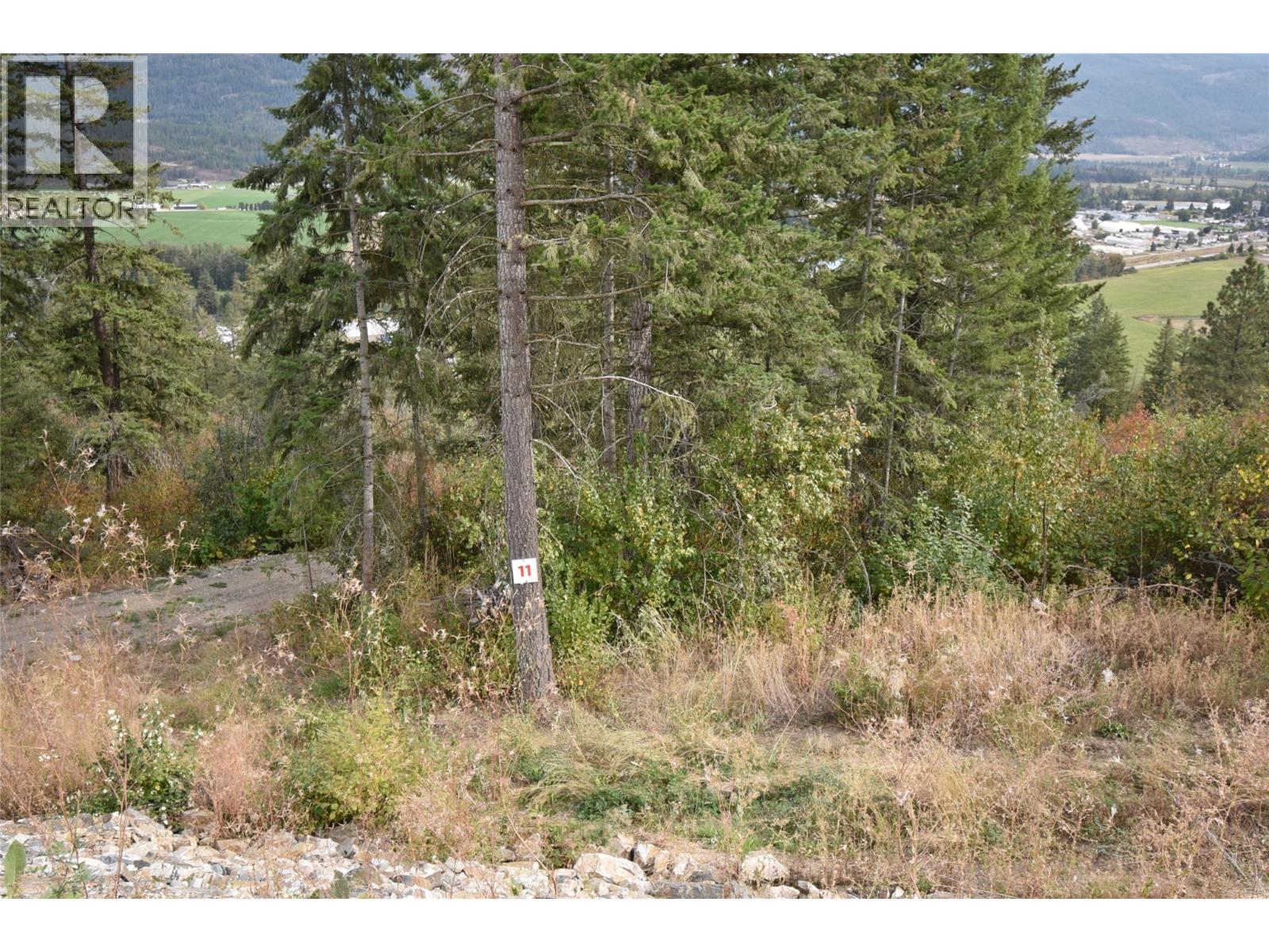 213 Crooked Pine Road Property Photo 4