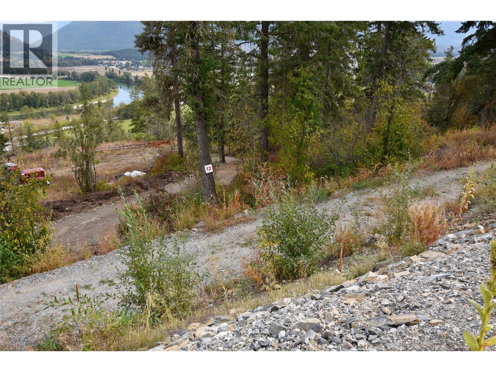 219 Crooked Pine Road Property Photo 1