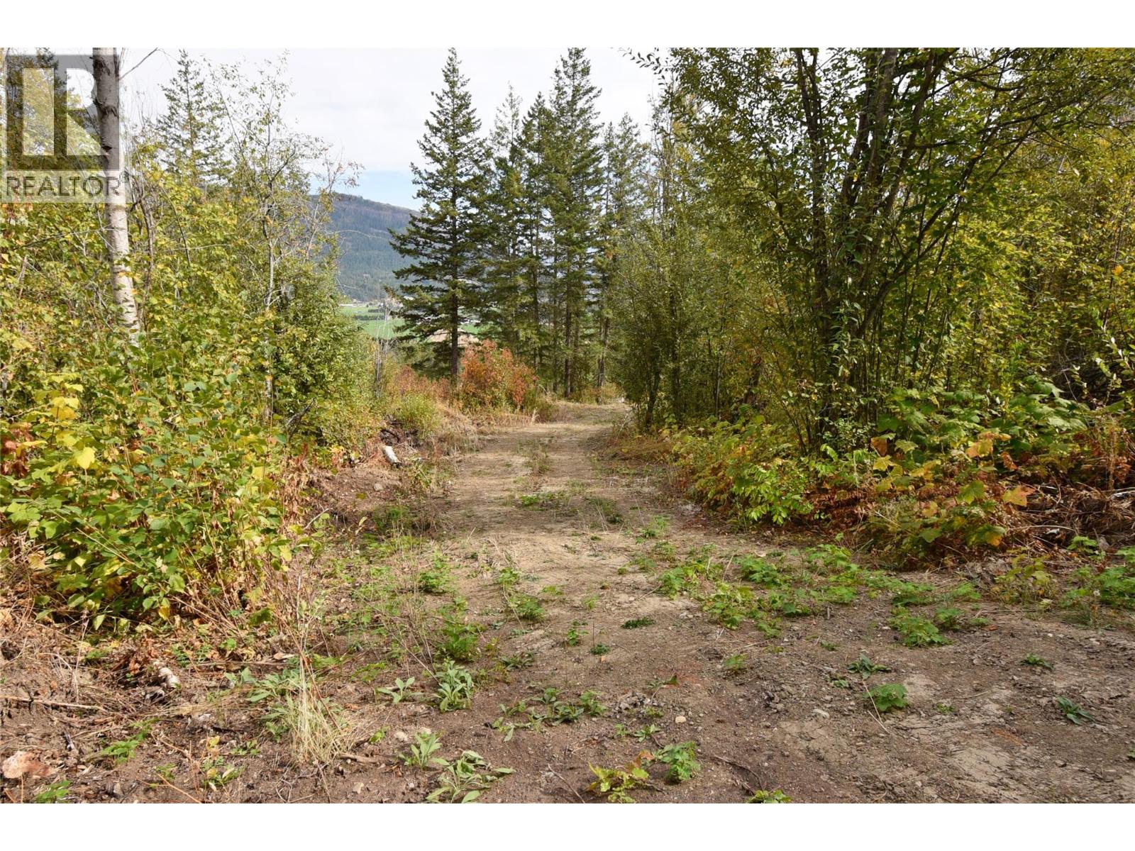 219 Crooked Pine Road Property Photo 4