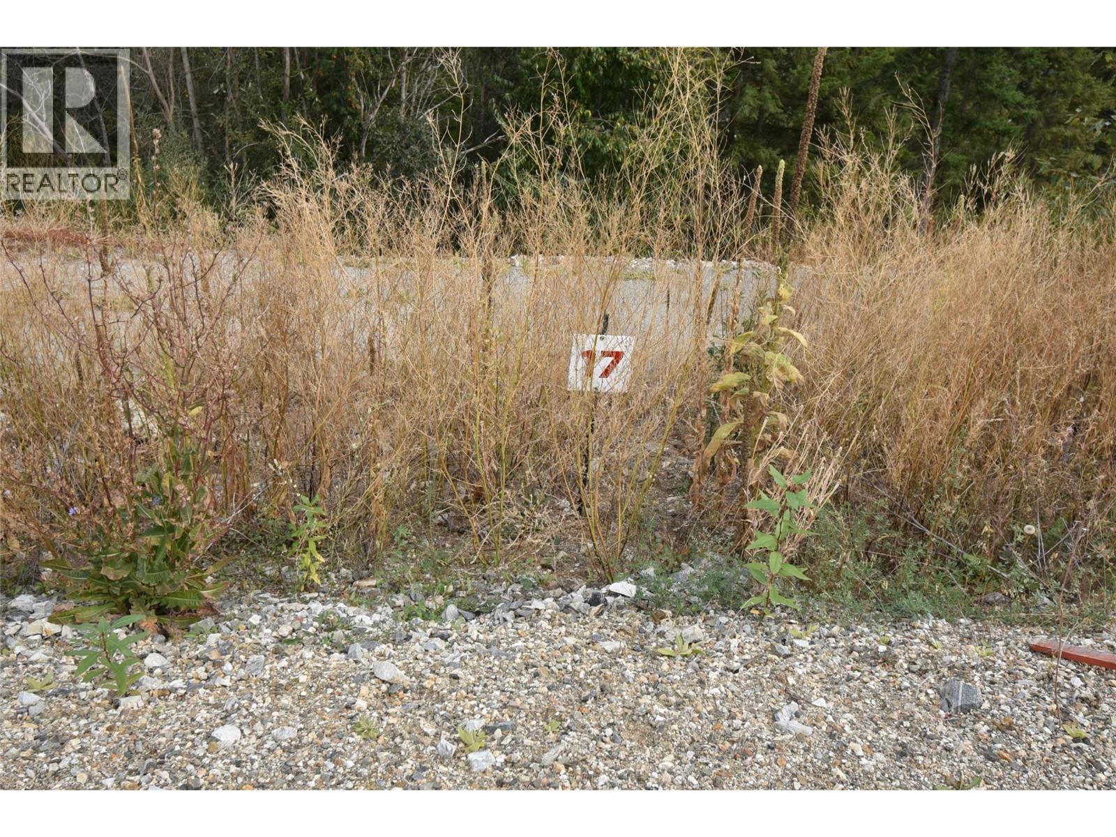 249 Crooked Pine Road Property Photo 1